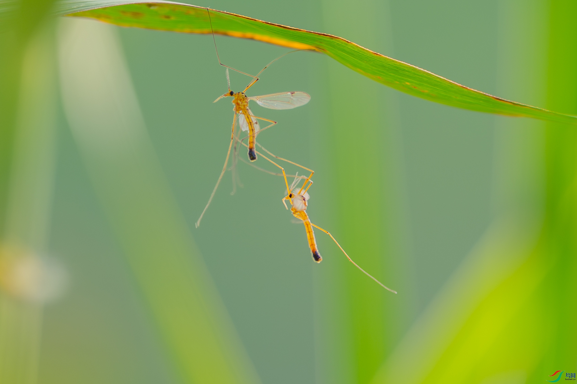 DSC_8324.jpg