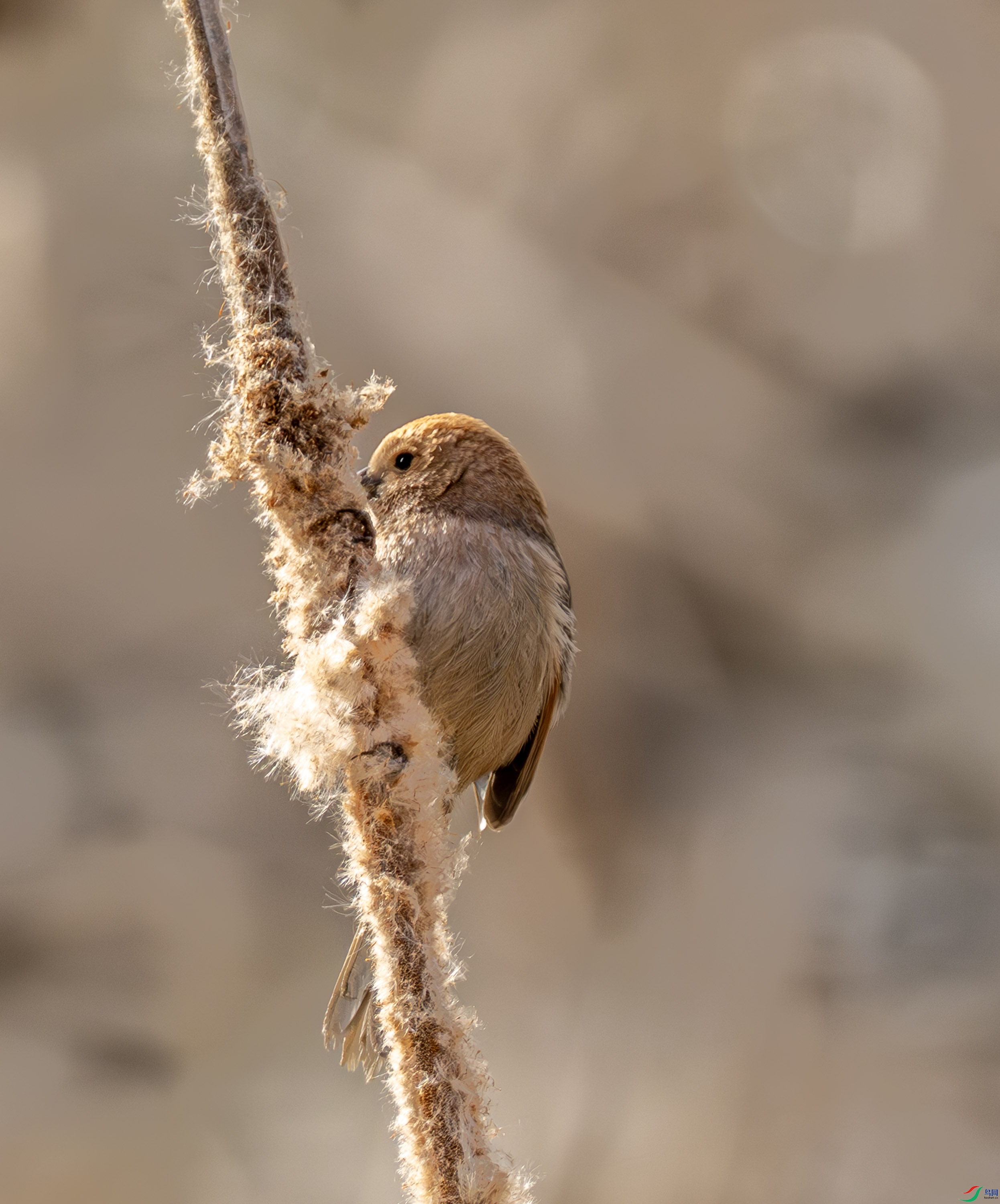 ��ͷѻȸ-01 (15 - 16).jpg