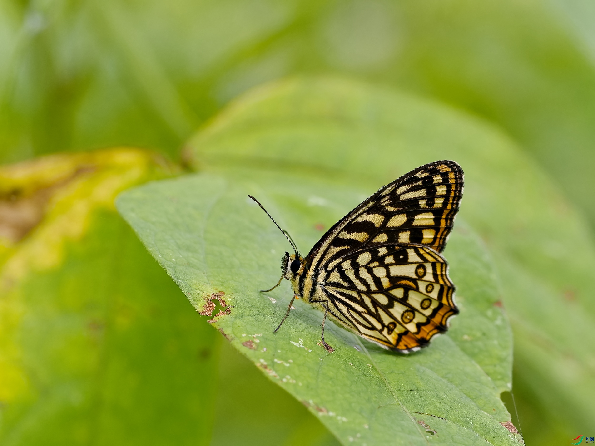 ���۵� (130)-01.jpg