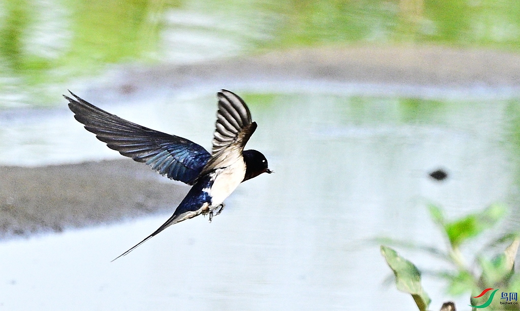 DSC_5822.JPG
