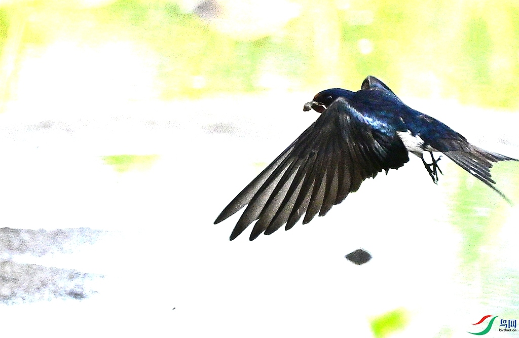 DSC_5934.JPG