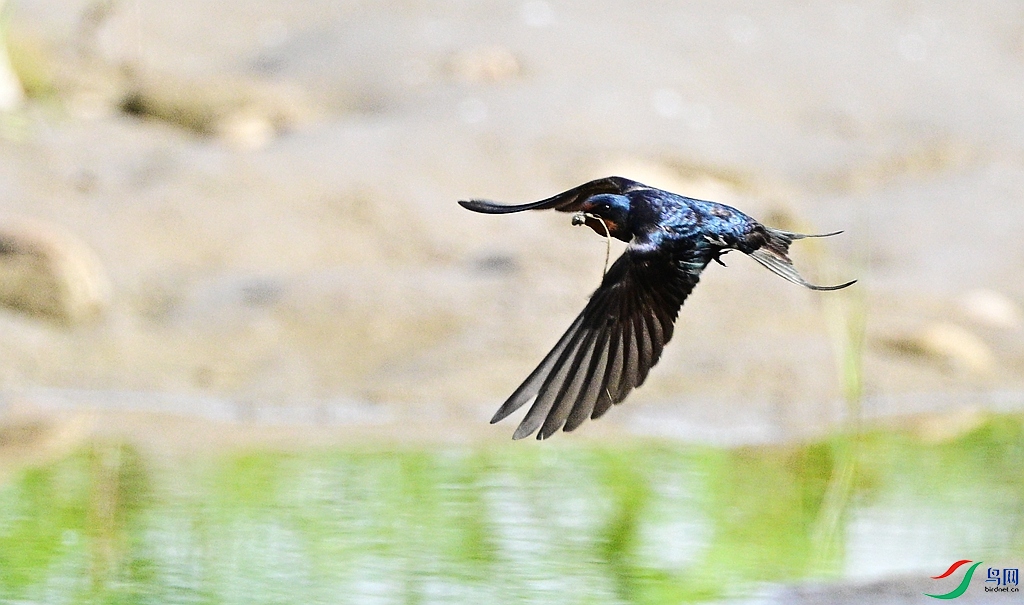 DSC_5936.JPG
