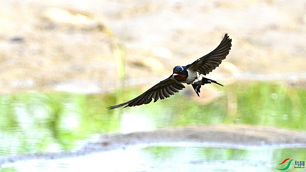 DSC_6240.JPG