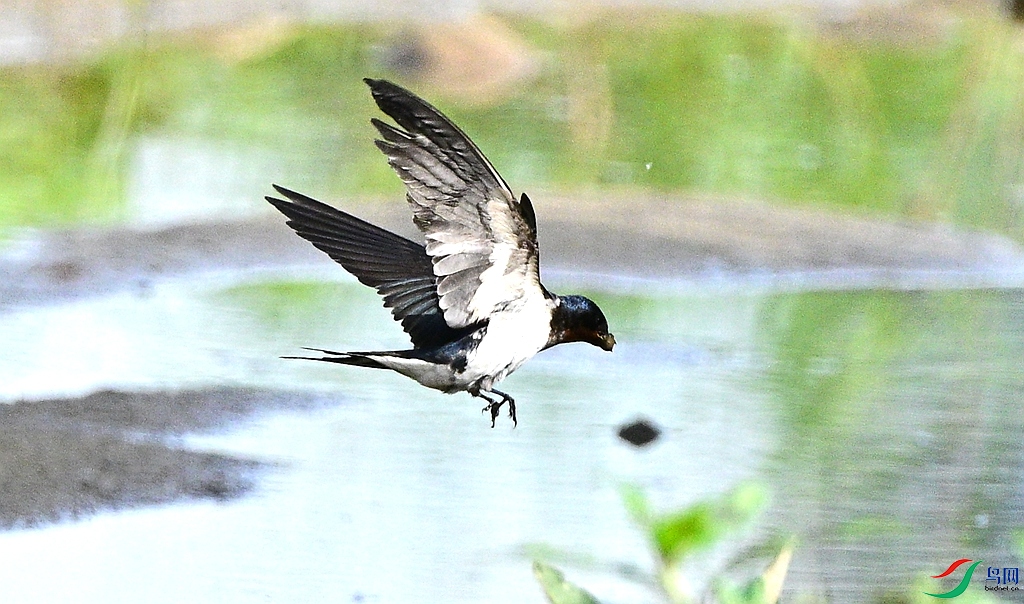 DSC_6384.JPG