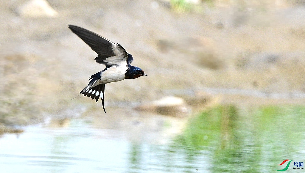 DSC_6438.JPG