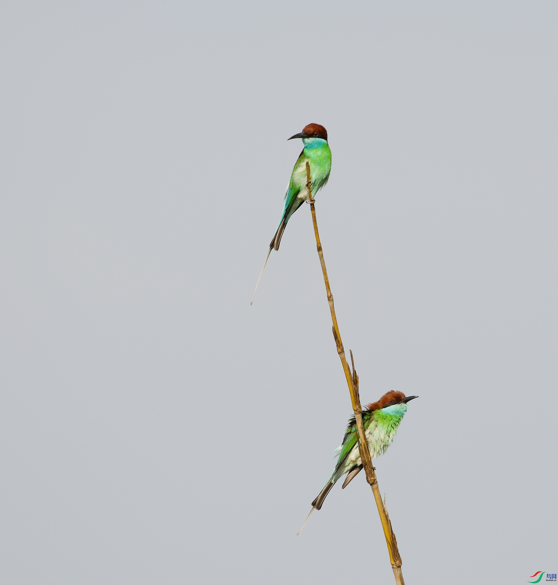 DSC_3122.jpg