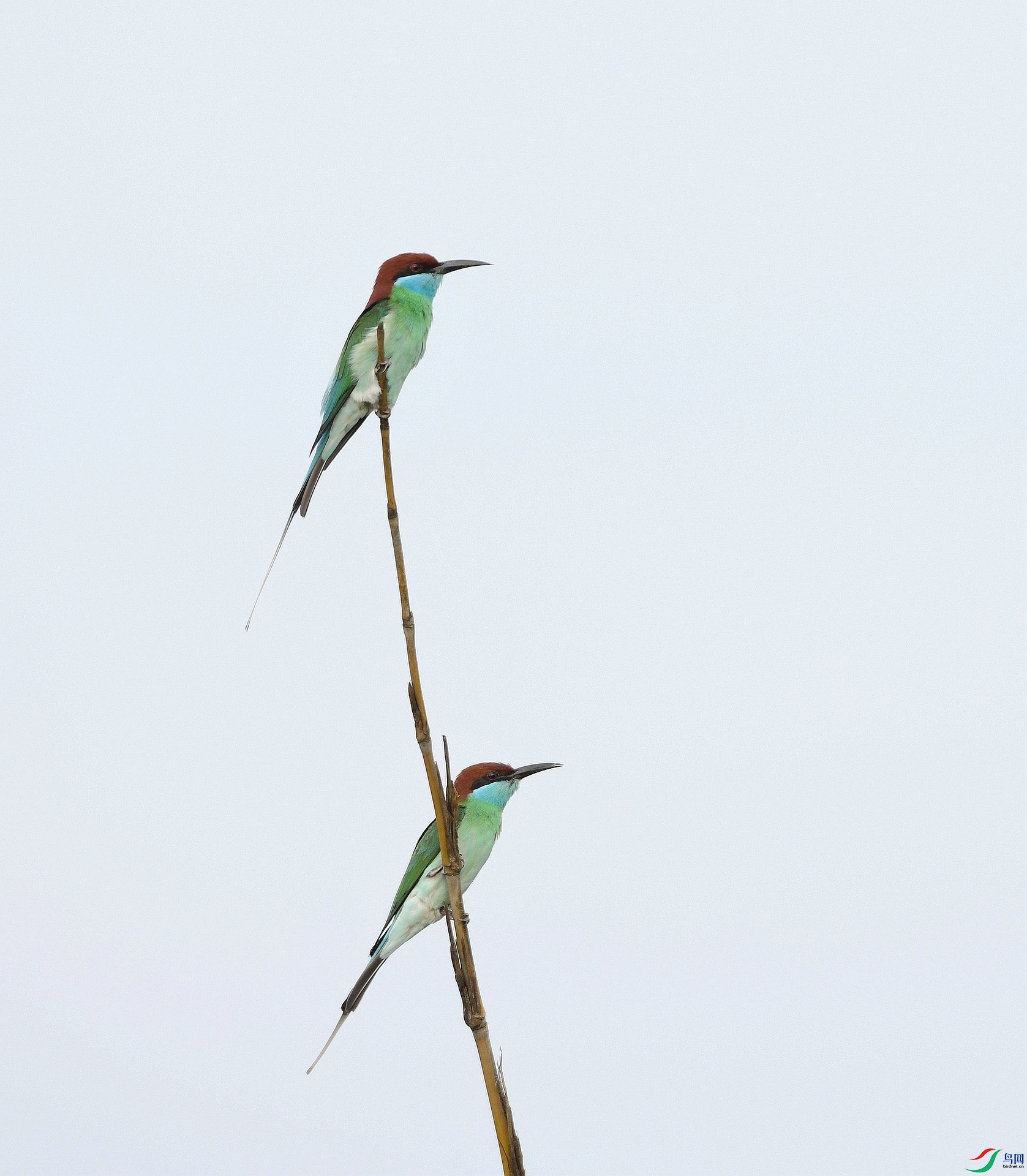 DSC_3072.jpg