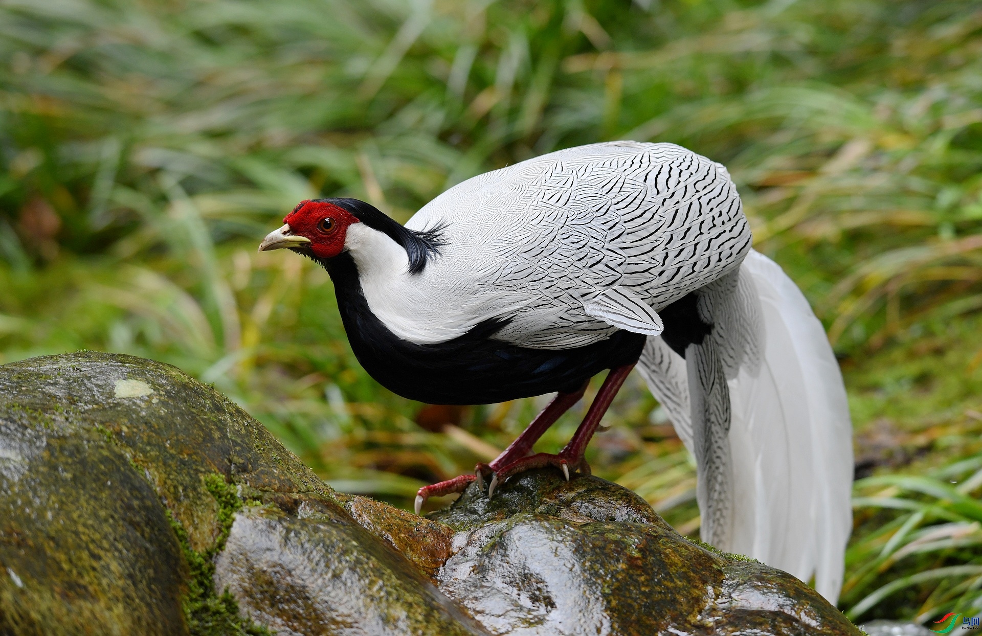 DSC_6976.jpg