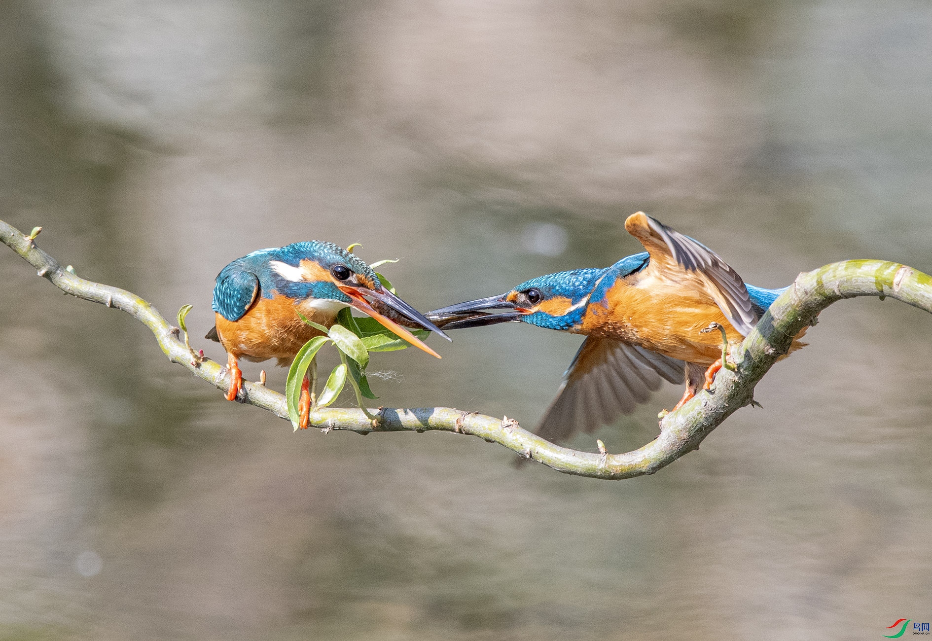 DSC_2574_��ͼ�� ����.jpg
