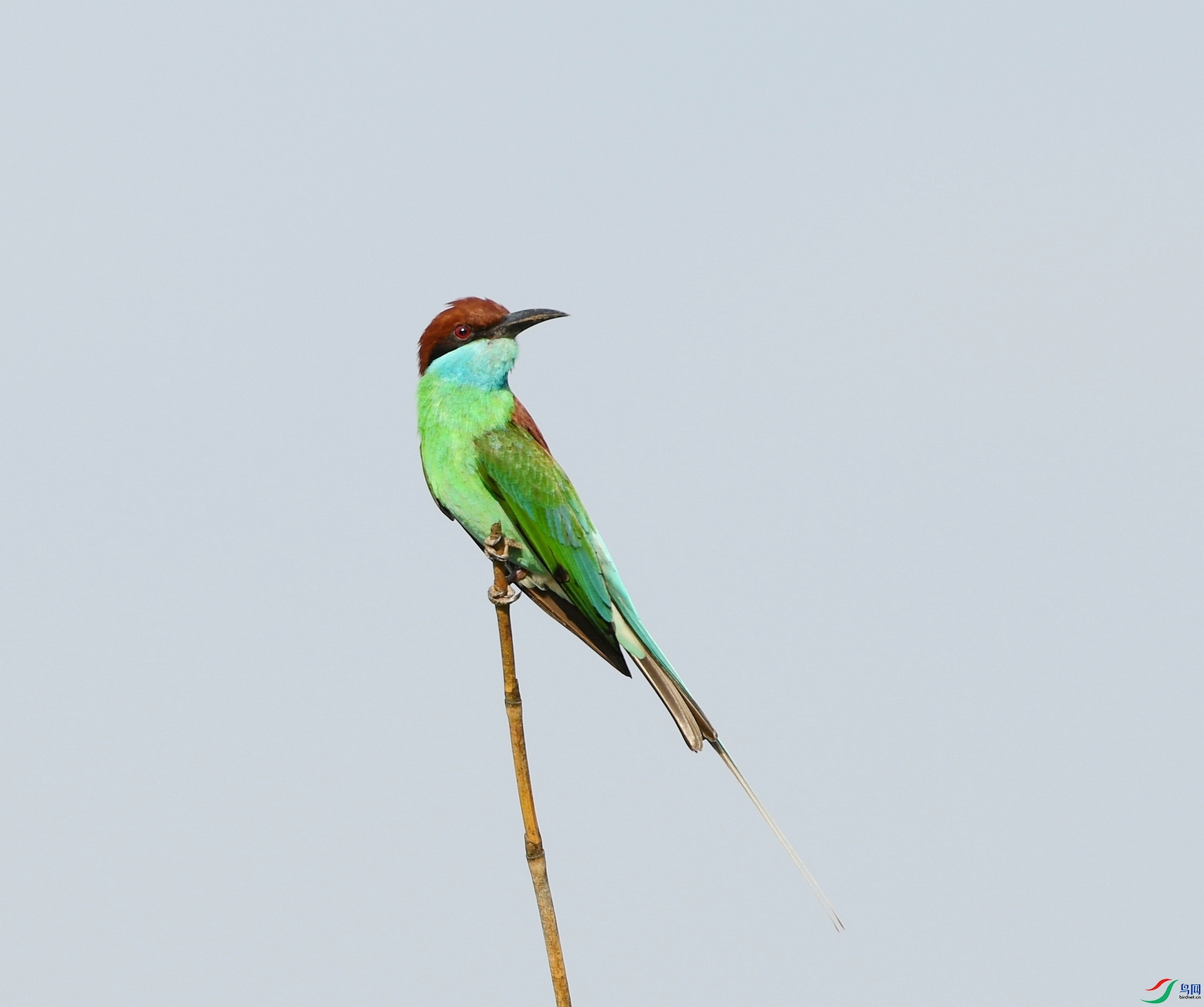 DSC_3179.jpg