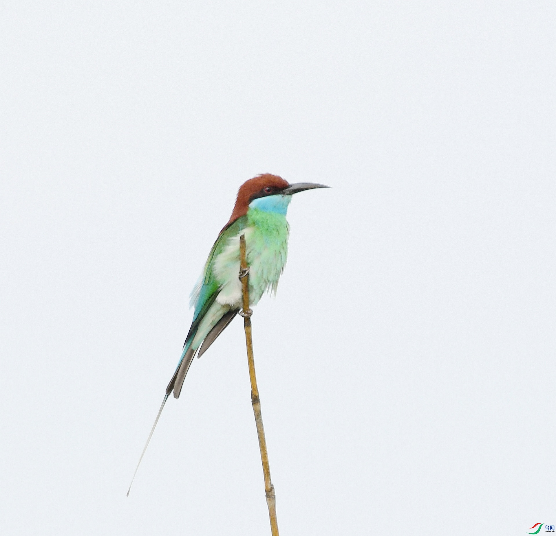 DSC_3081.jpg