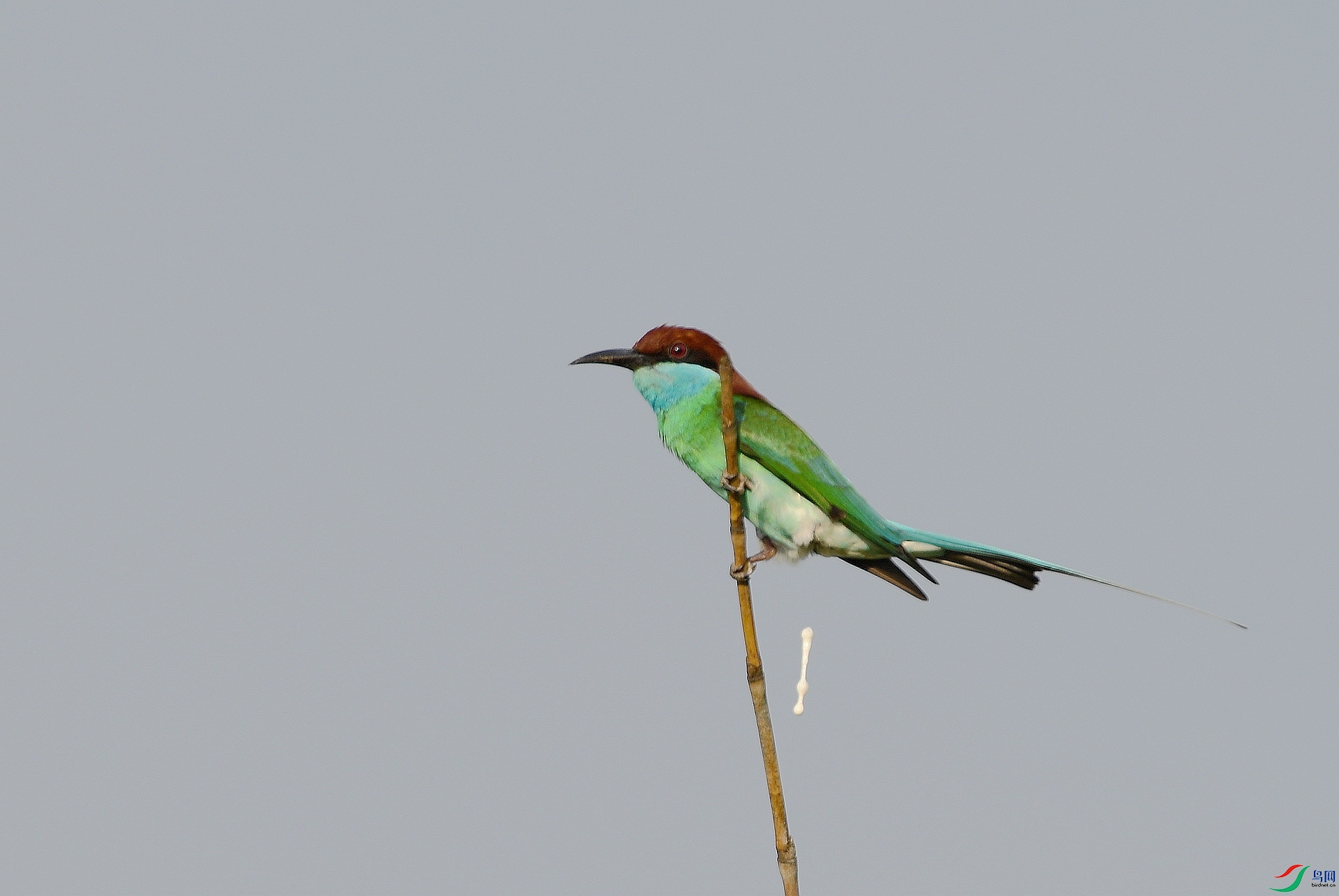 DSC_3160.jpg