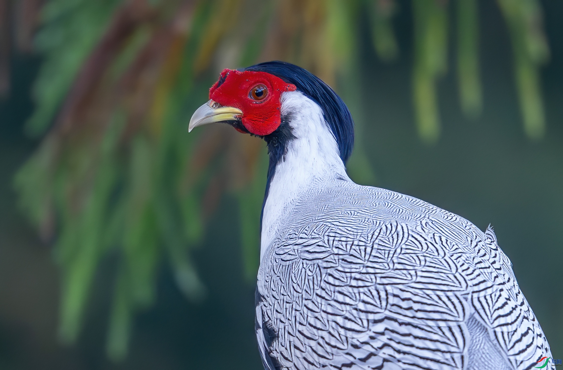 DSC_3201-1.jpg