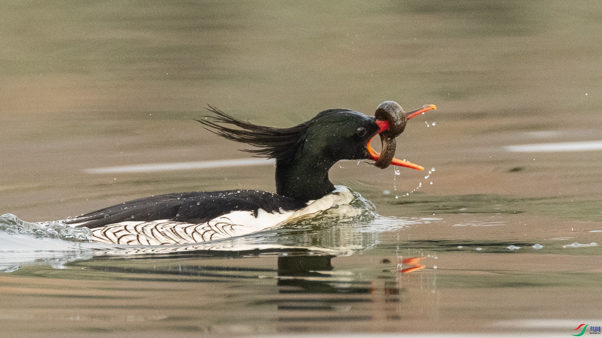 AK8I1648.jpg