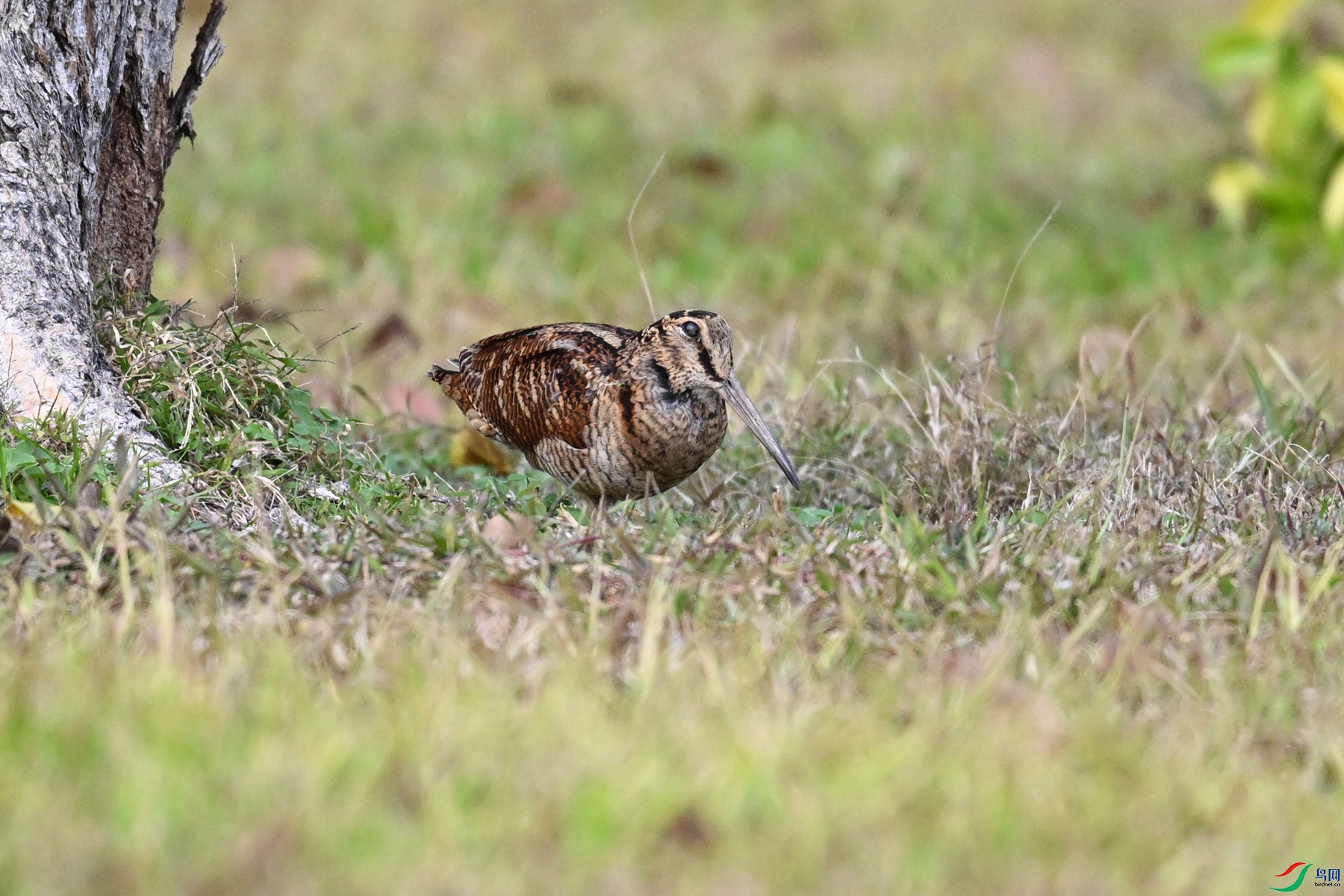 DSC_8536.JPG