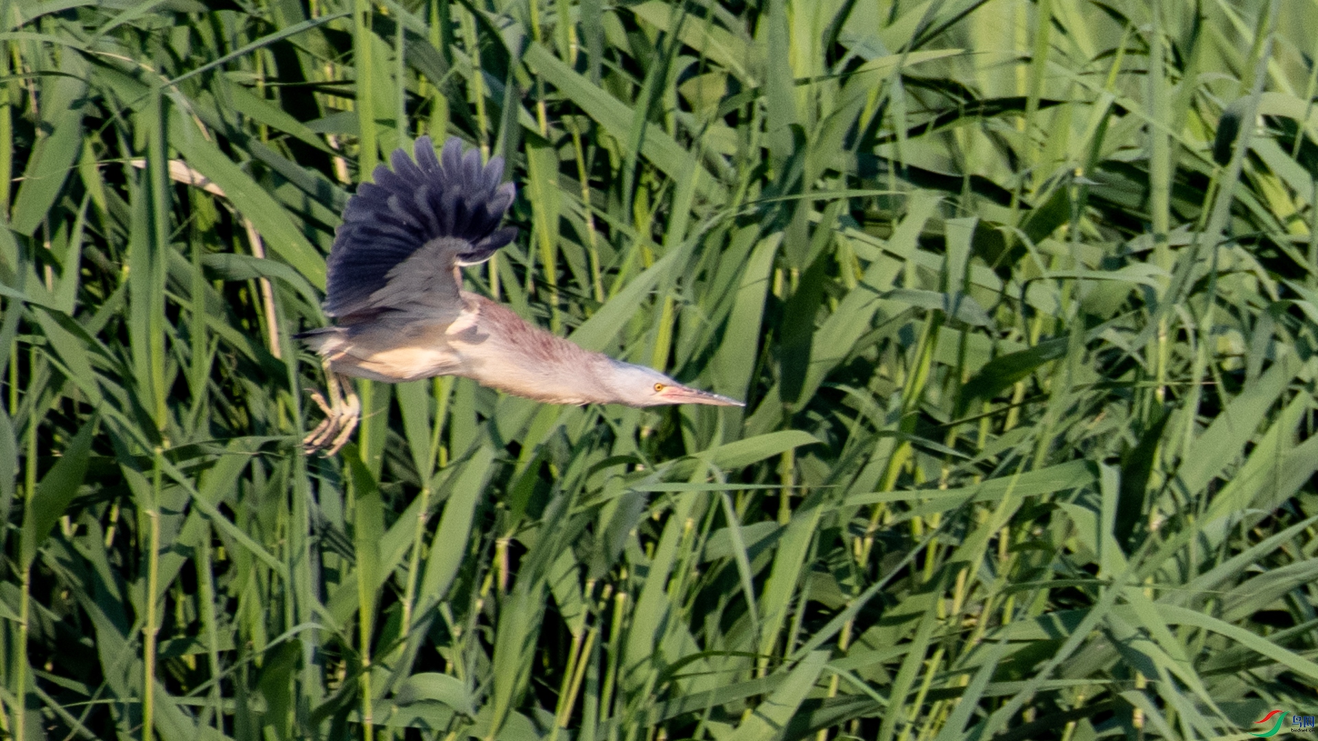 _DSC8666.jpg