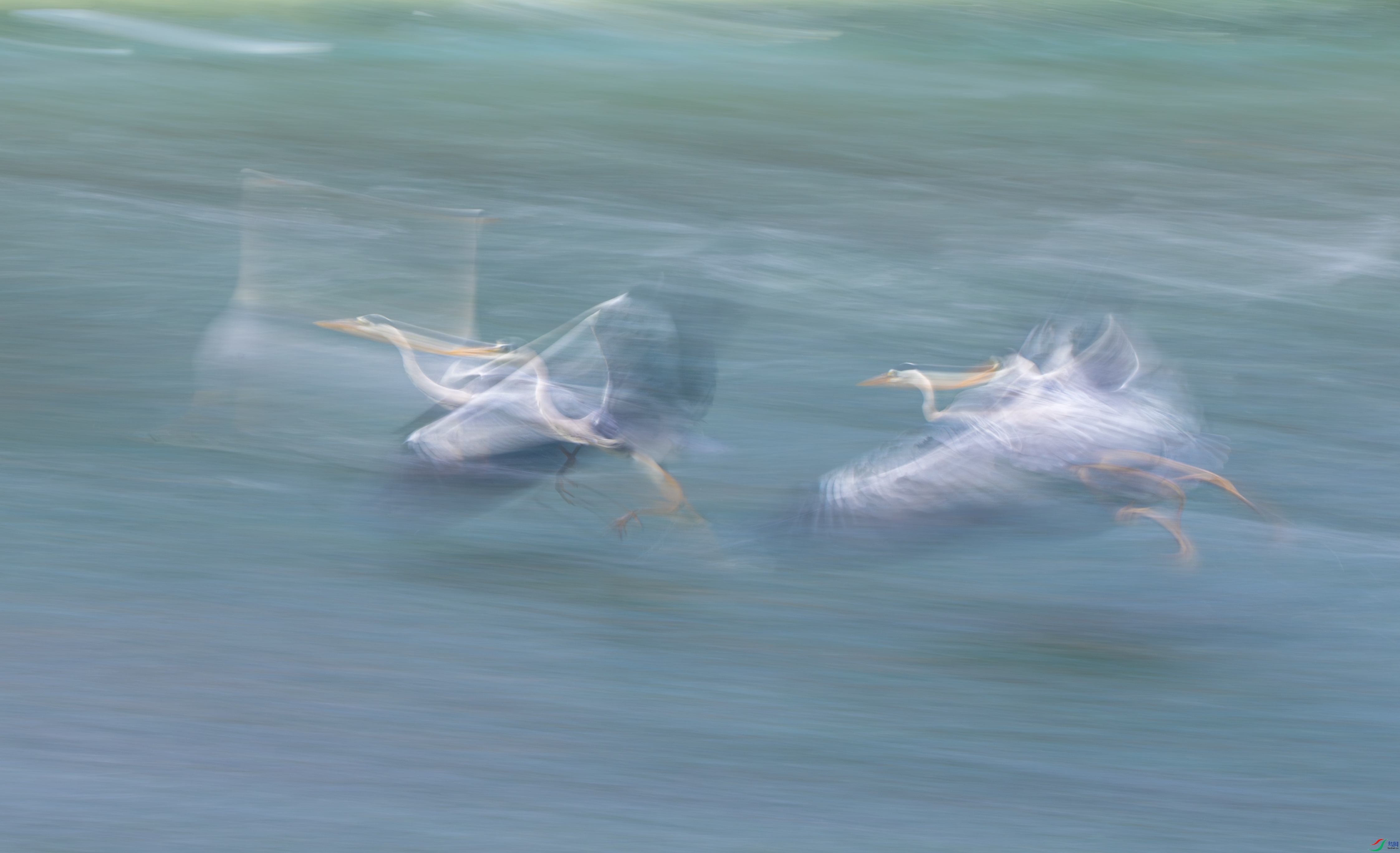 DSC_6492-1.jpg