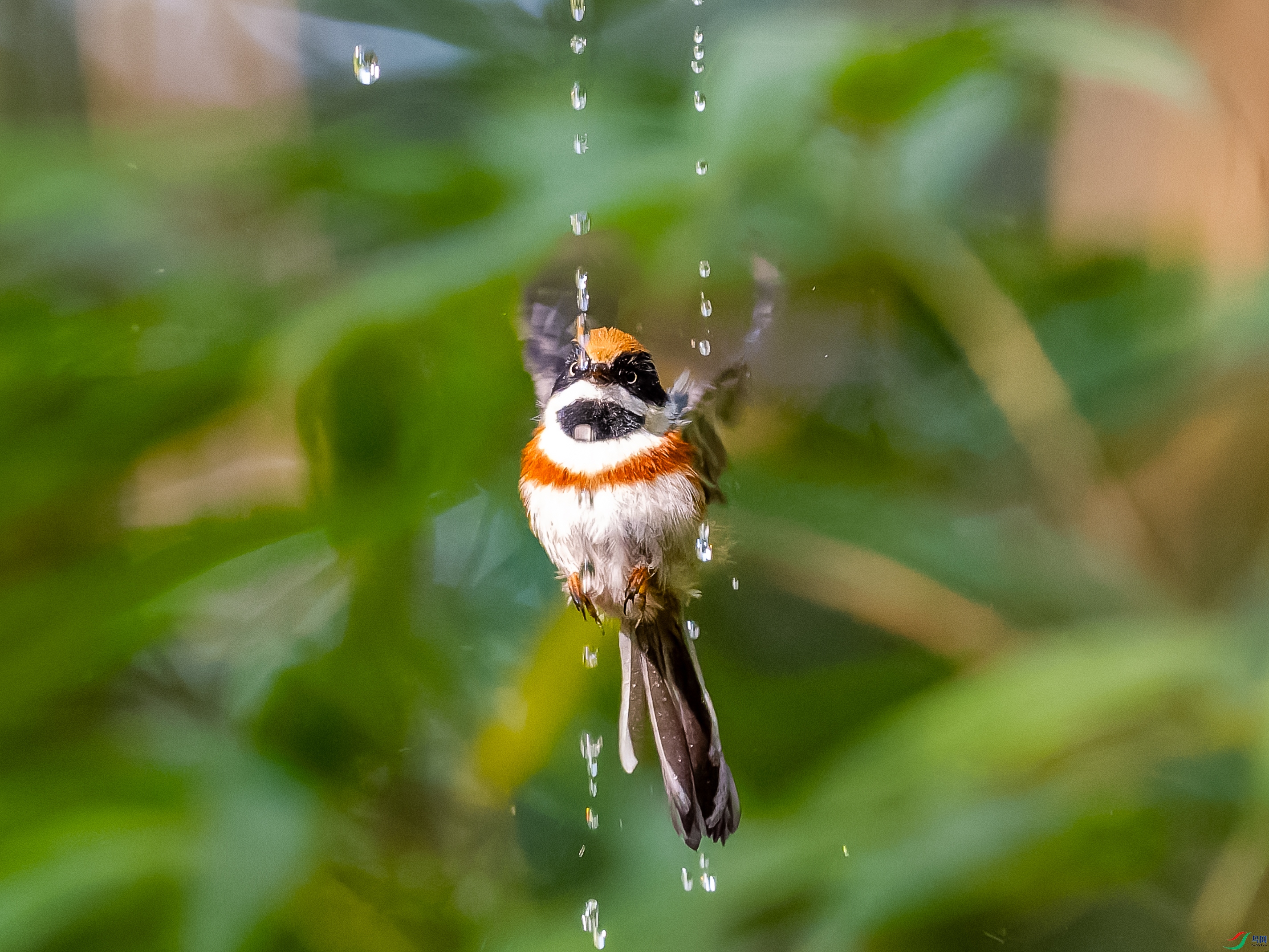 DSC05991-4M.jpg