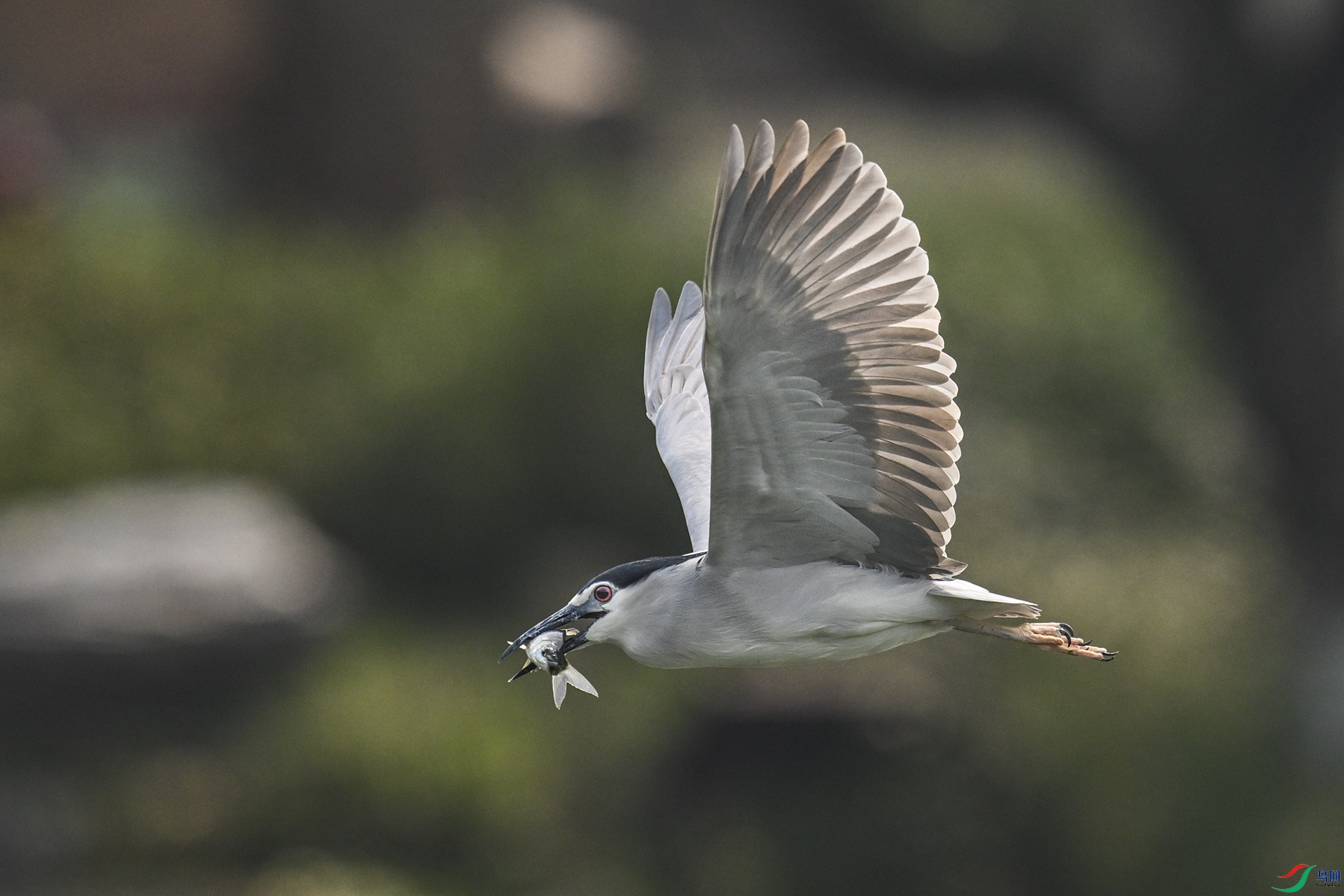 DSC_0359.jpg