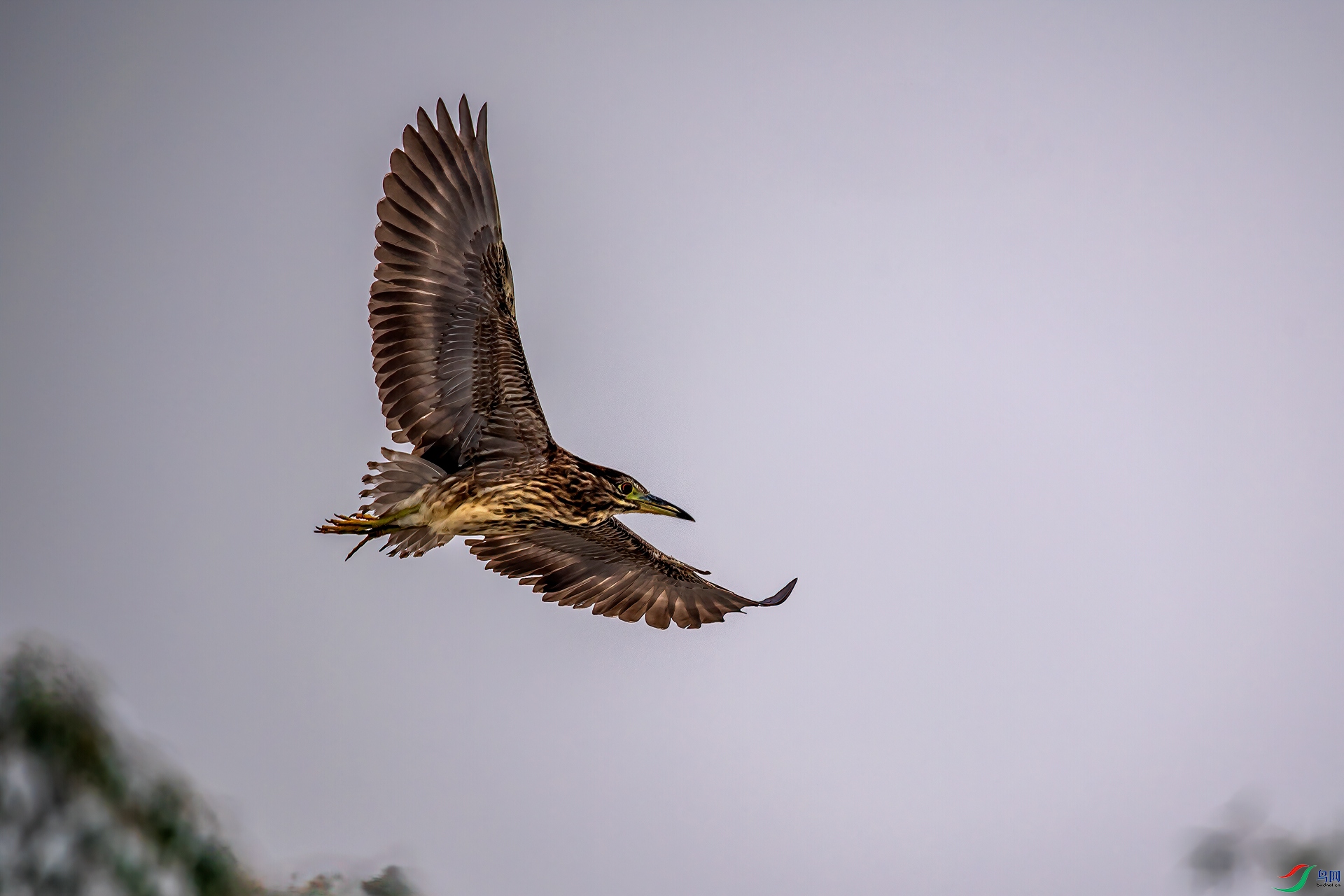 DSC_7858.jpg