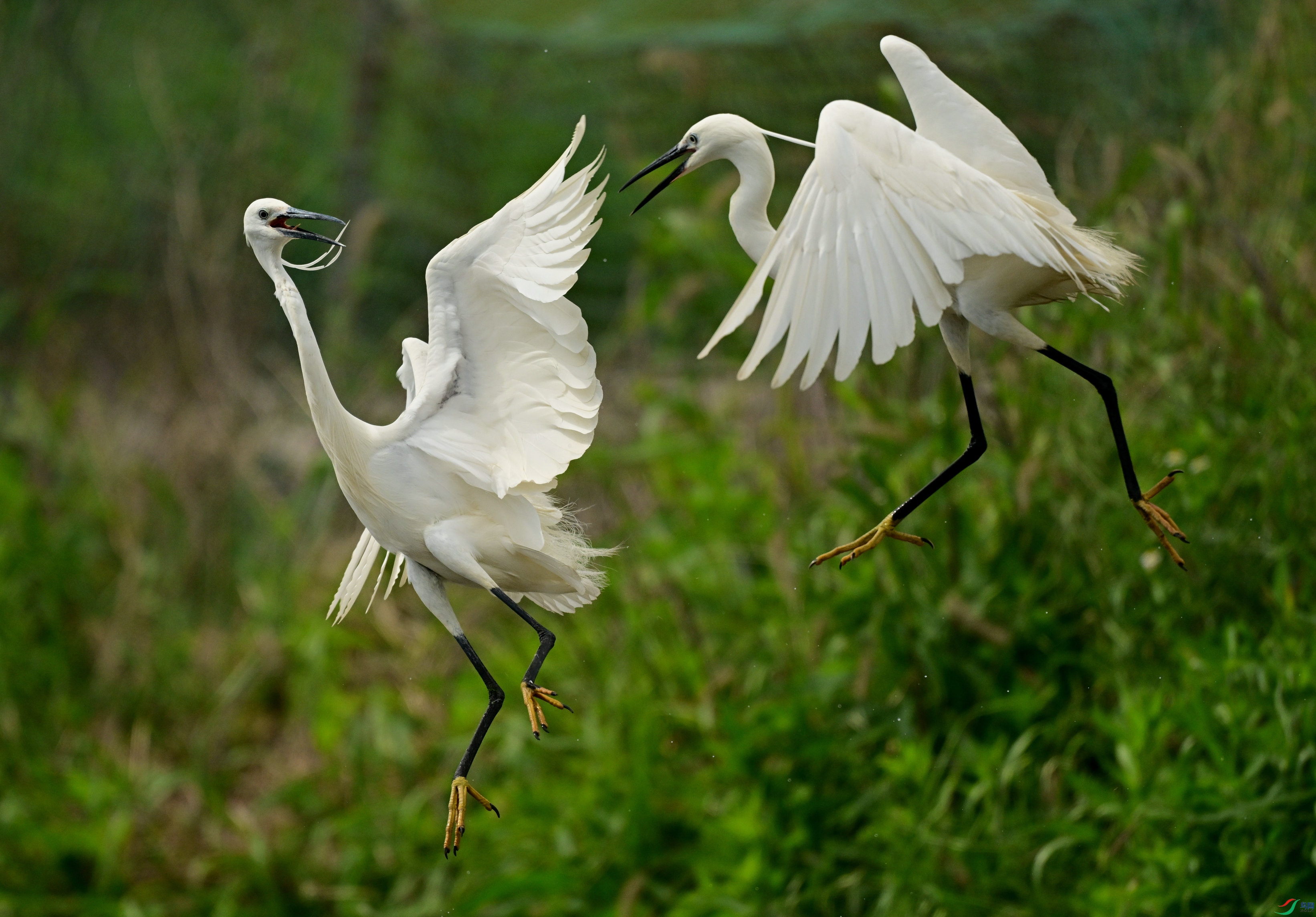 DSC_6948.jpg