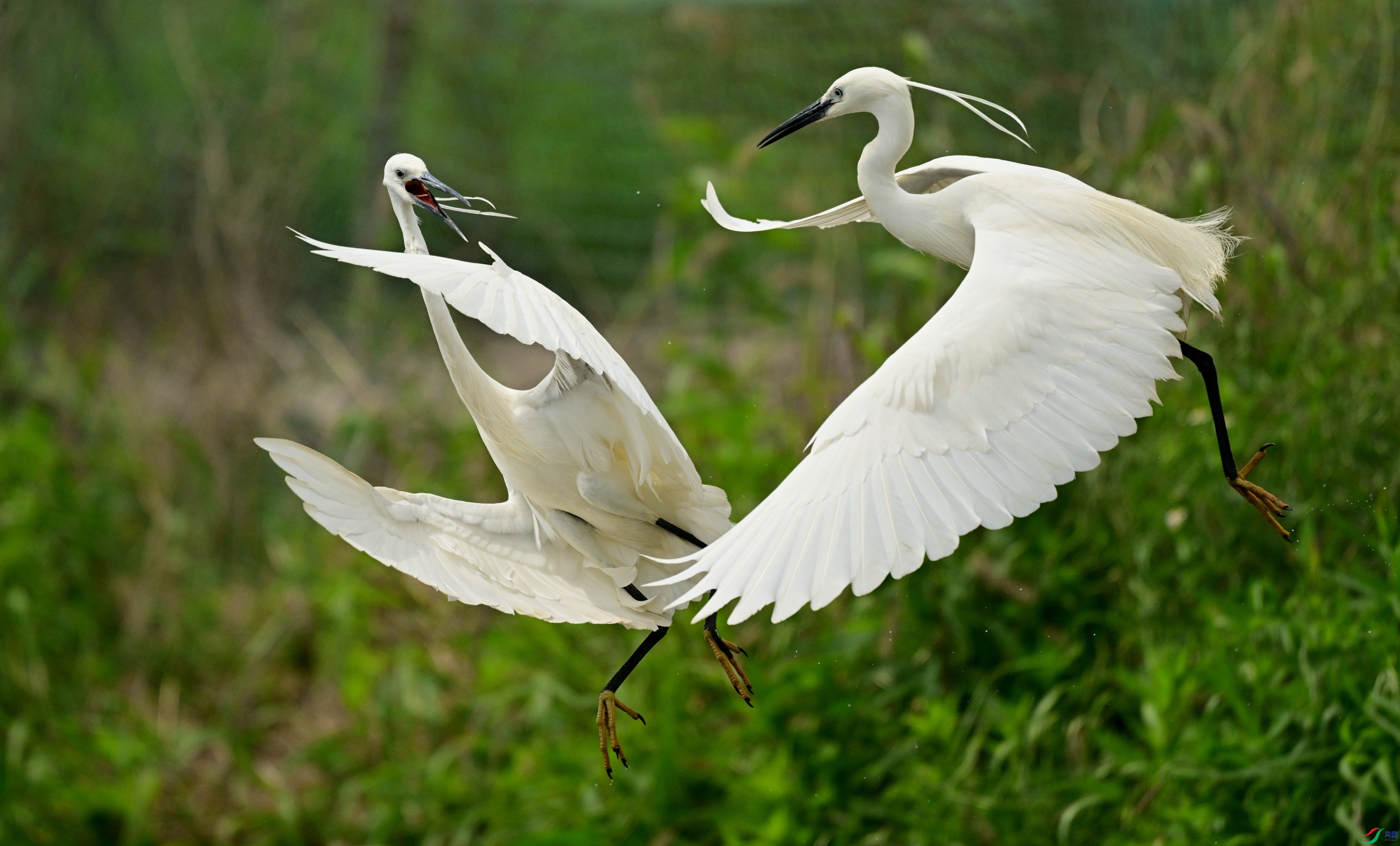 DSC_6947.jpg