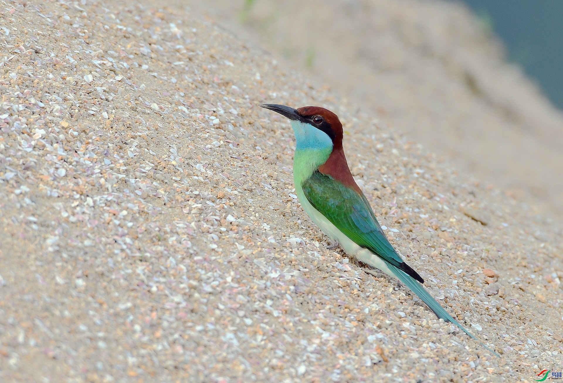 DSC_3255.jpg