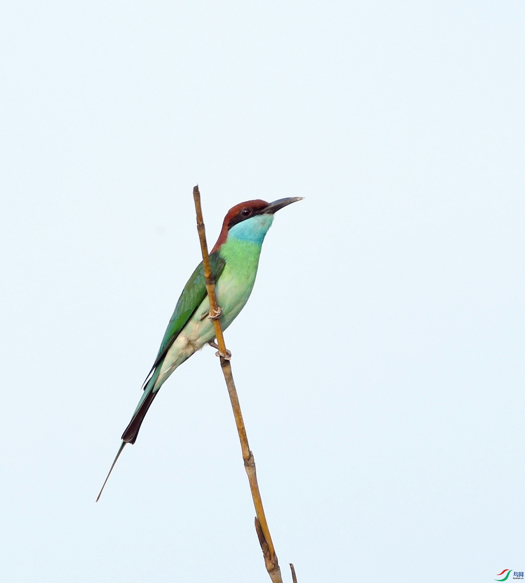 DSC_3260.jpg