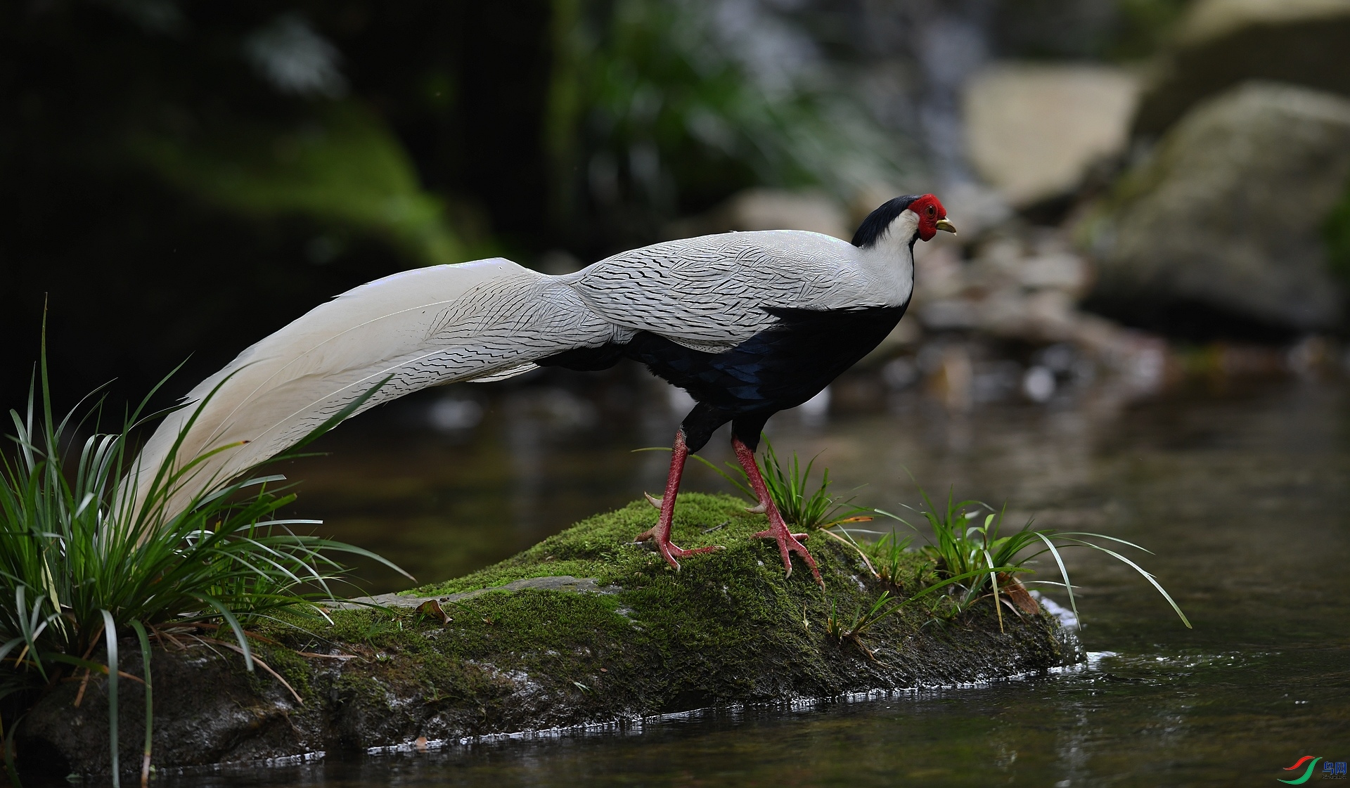DSC_3512.jpg