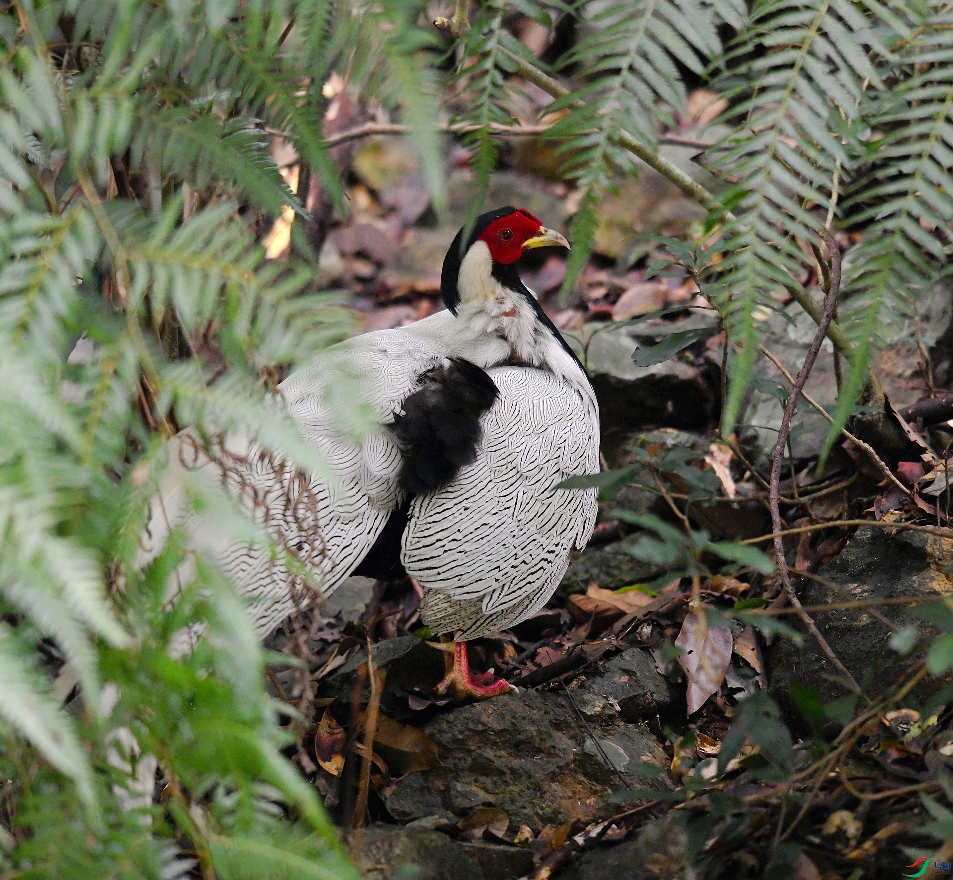 DSC_7344.jpg