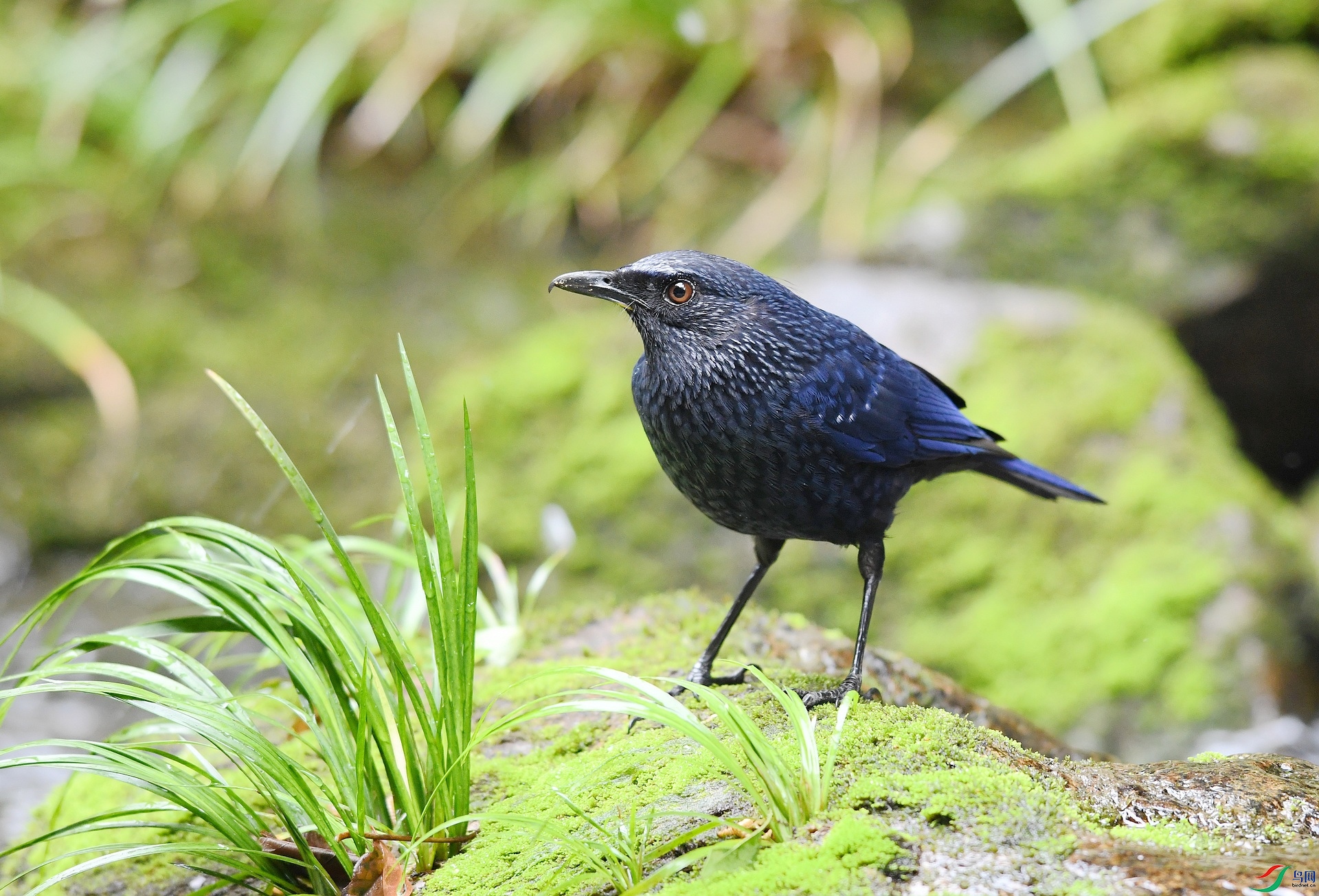 DSC_7832.jpg