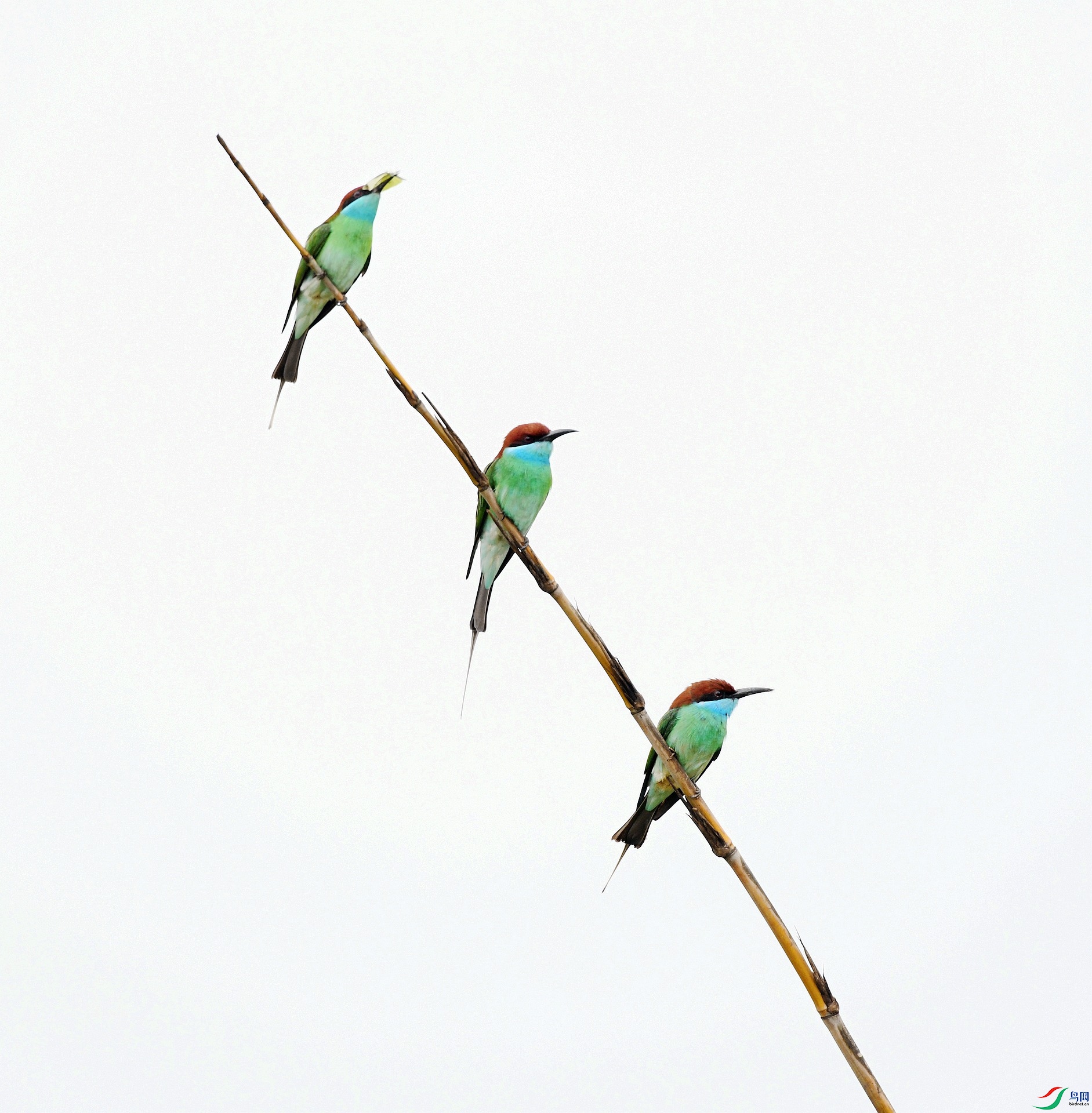 DSC_1698.jpg