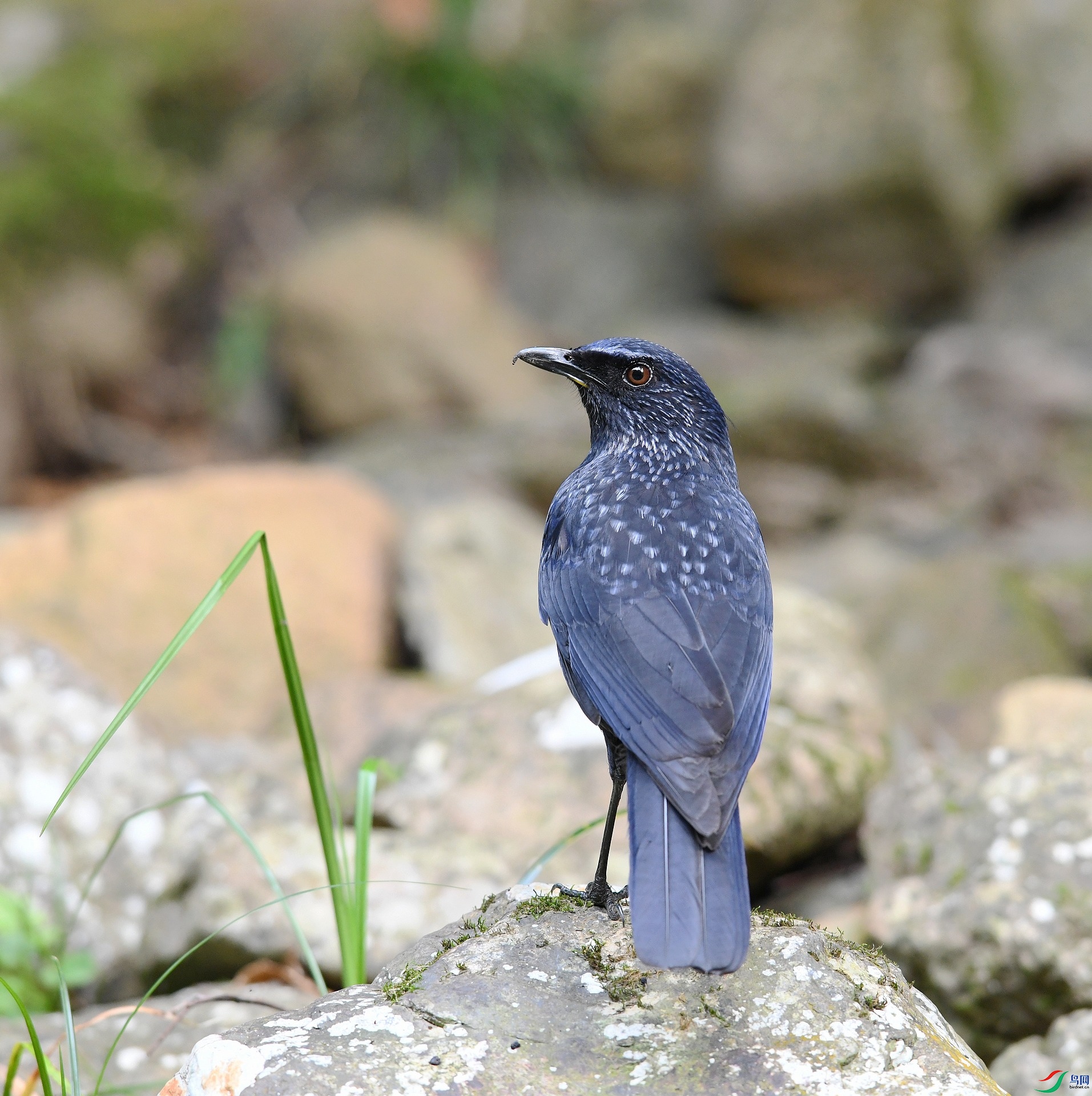 DSC_5773.jpg