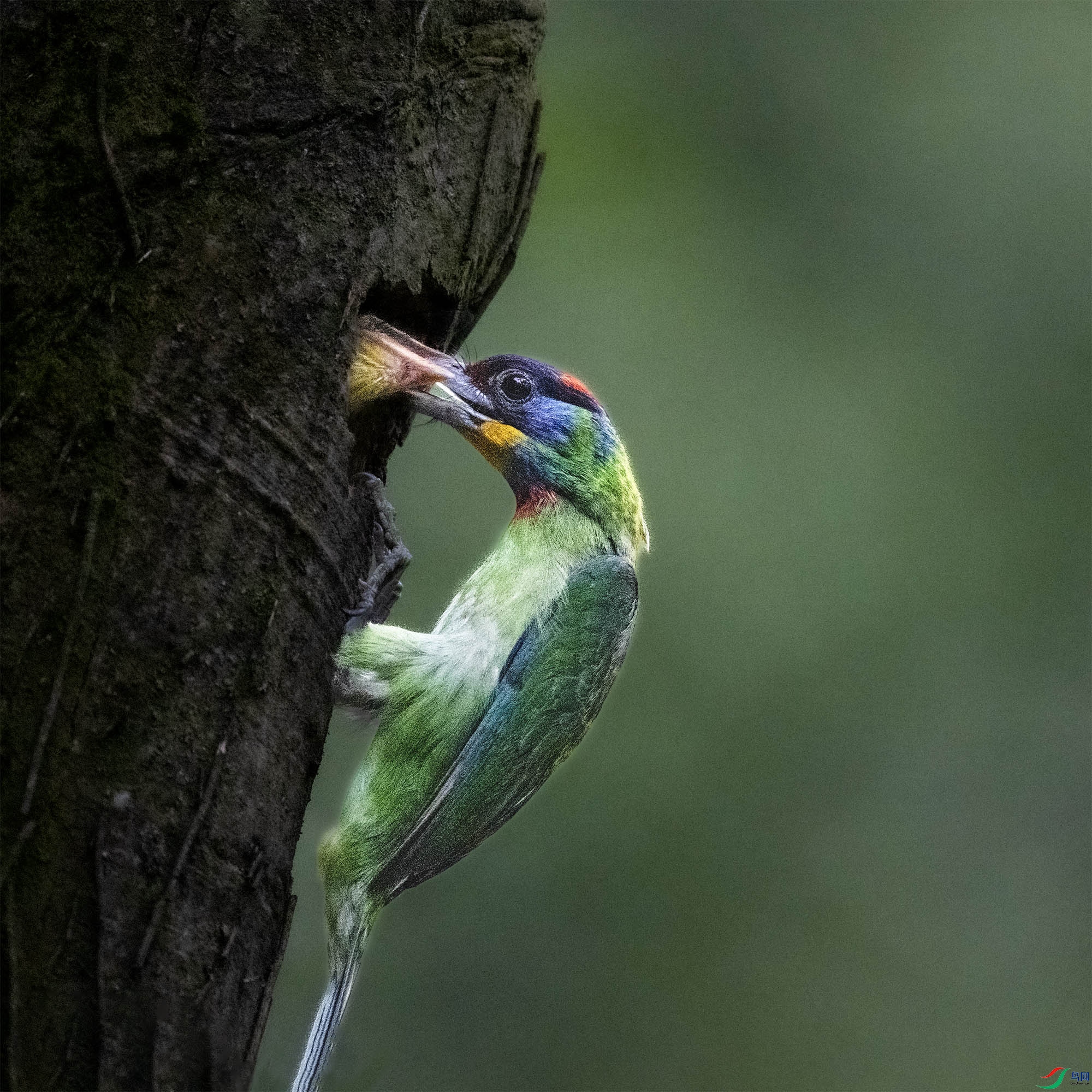 DSC_6034.jpg