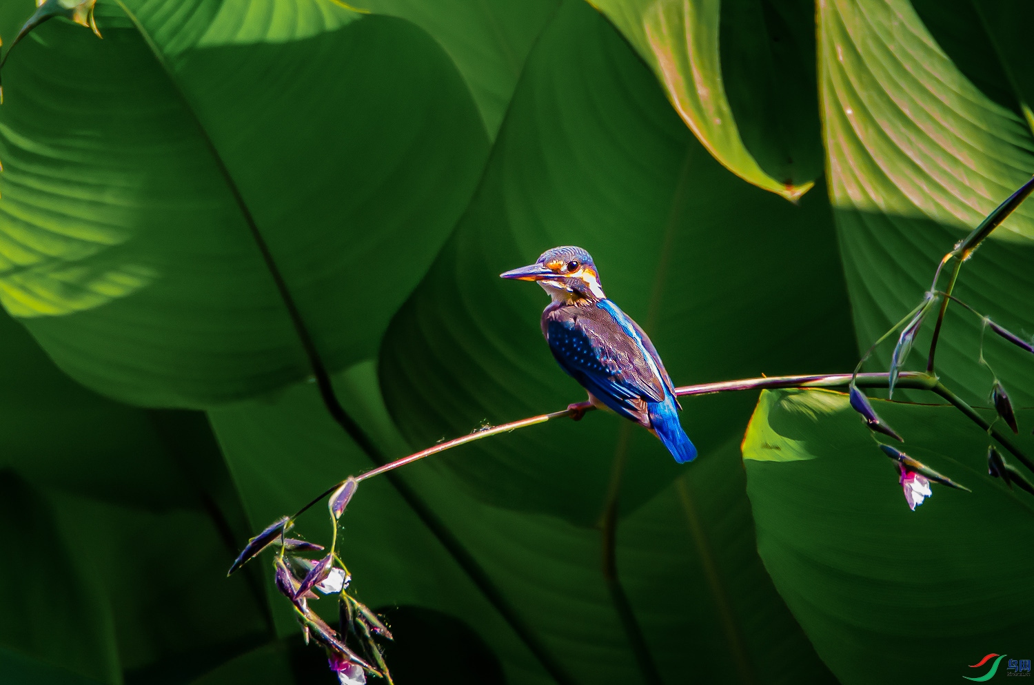 DSC_7546.jpg
