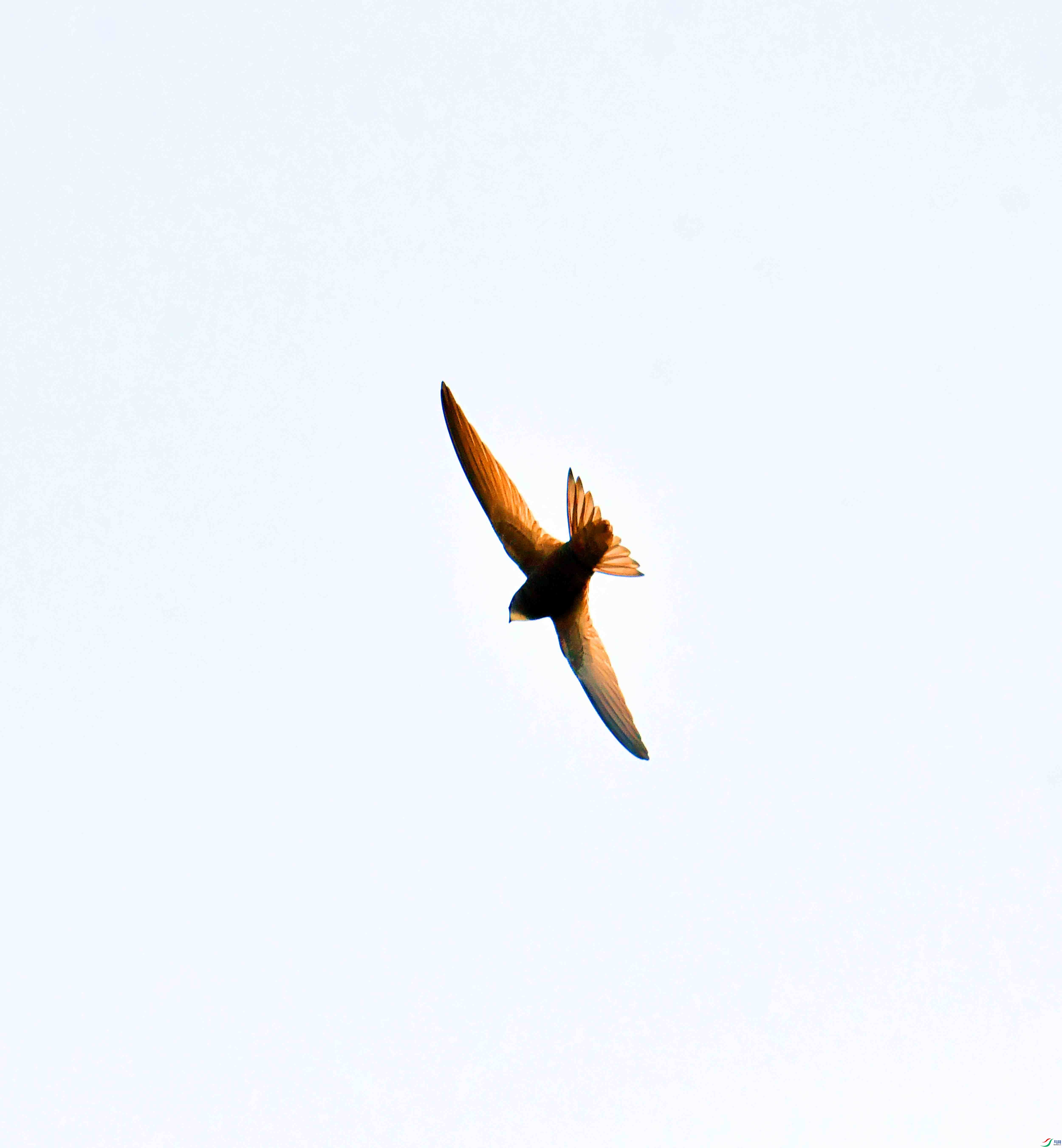 DSC_2283.JPG