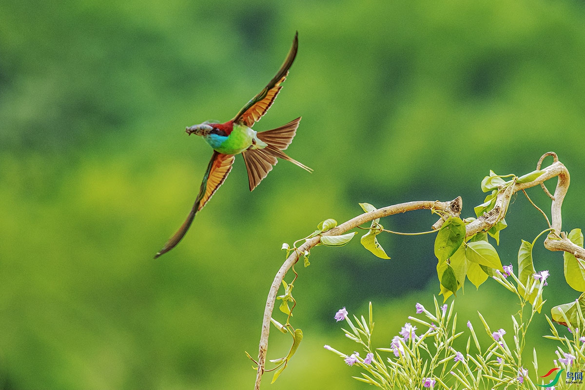 DSC_3425-����ǿ.jpg