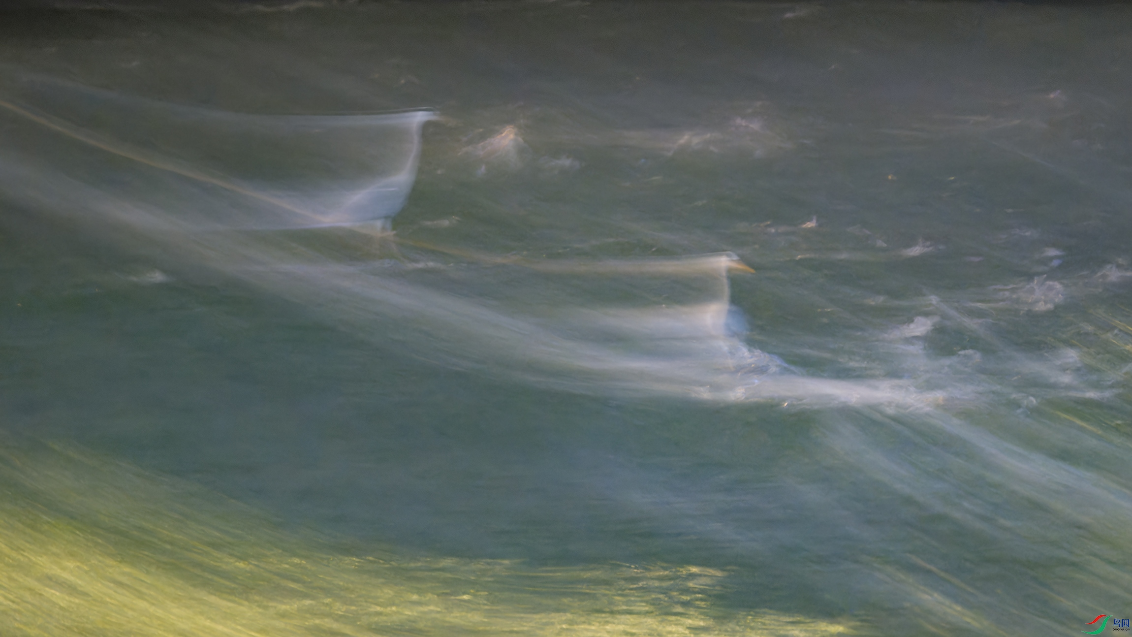 DSC_2297_DxO.jpg