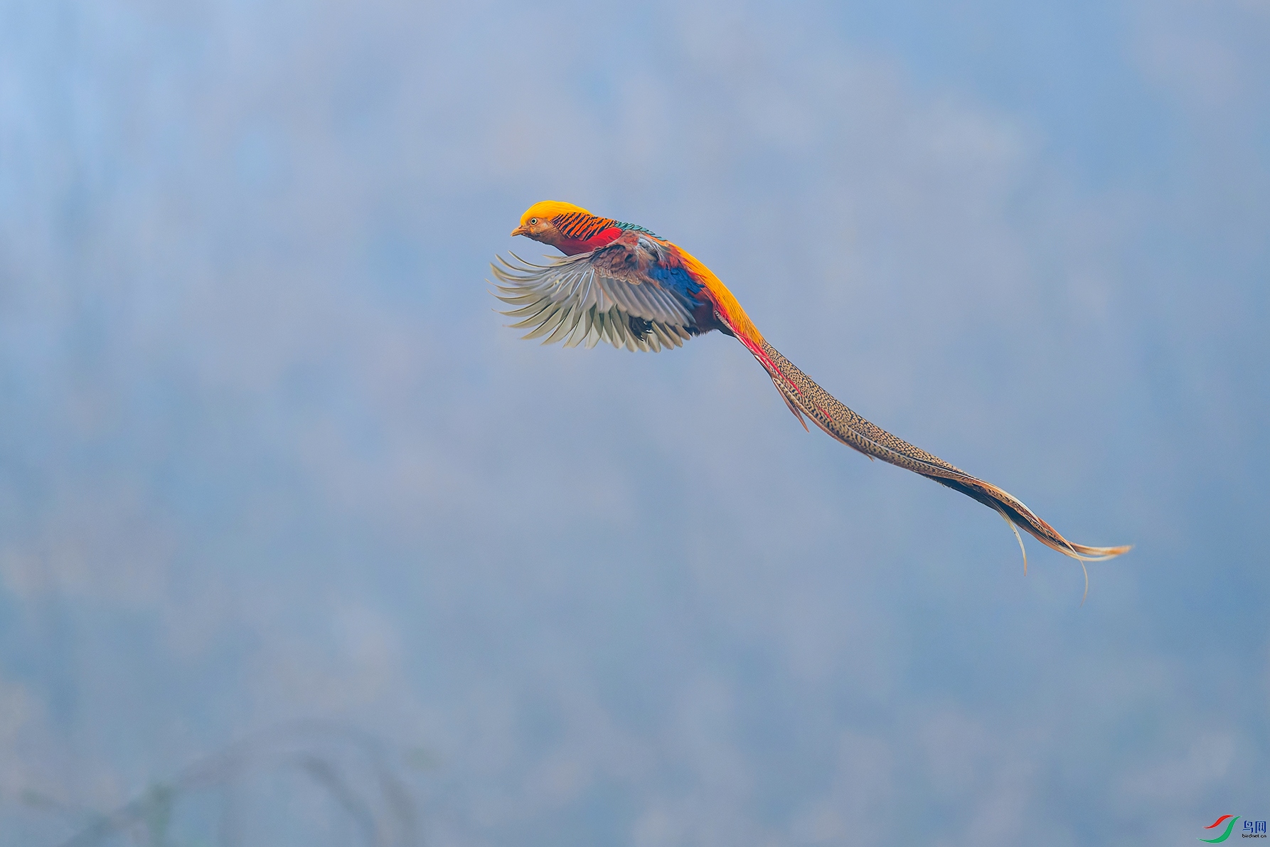 DSC_7385_DxO_DxOa.jpg