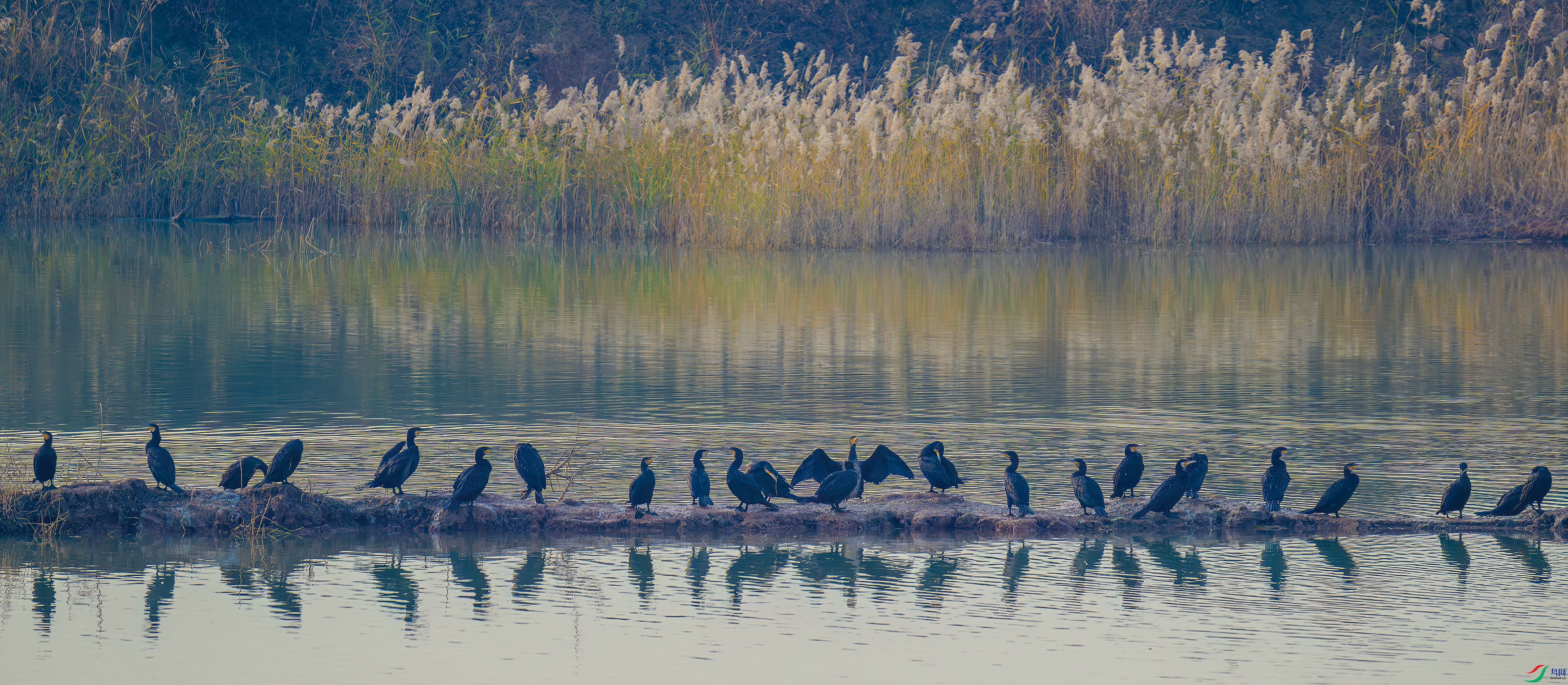DSC_5584.jpg
