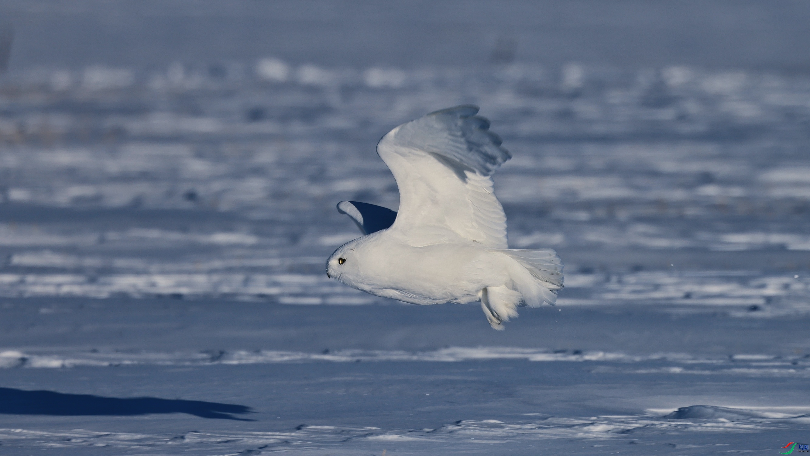 2F6A3189_����.jpg