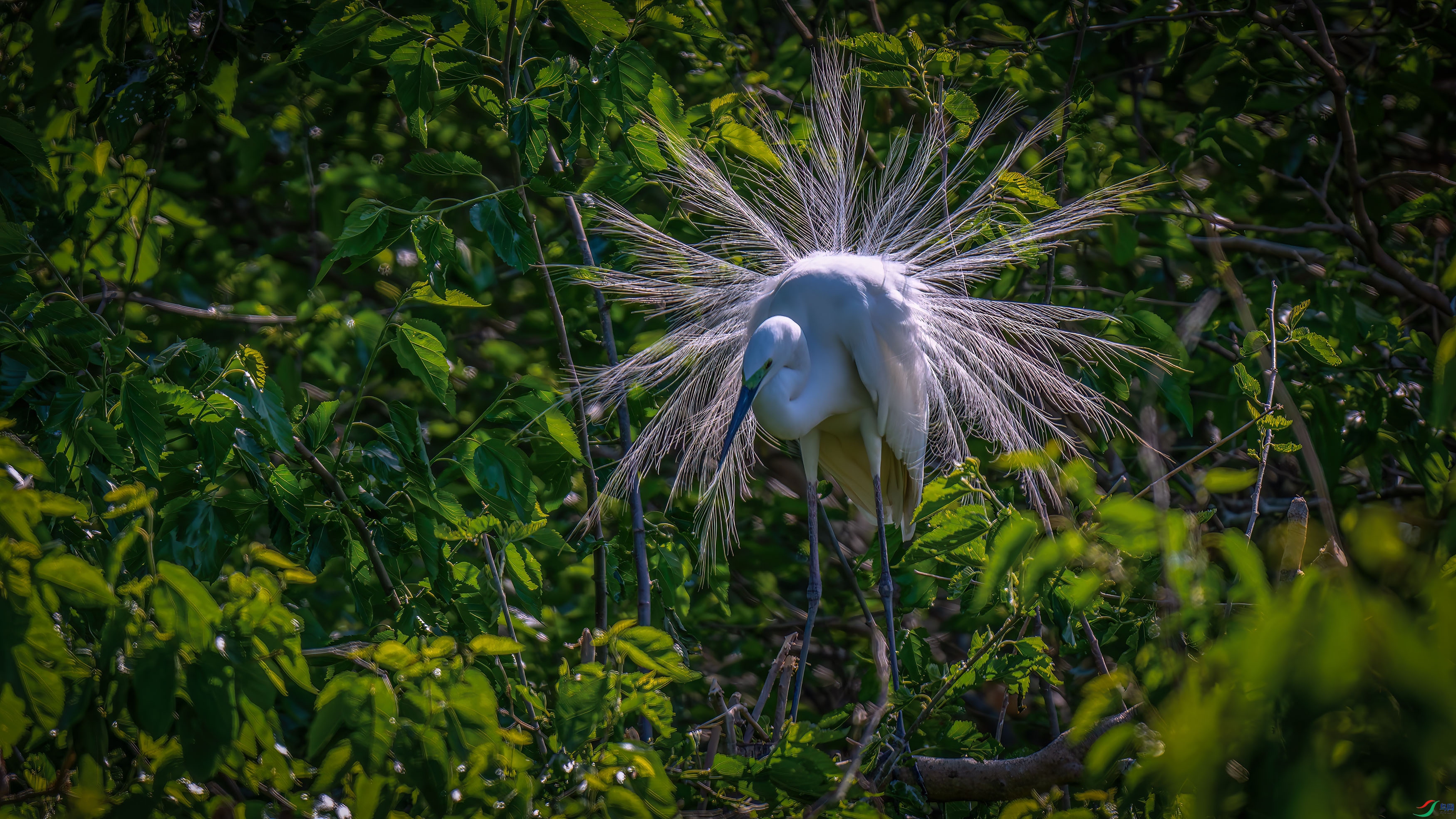 DSC_9368.jpg