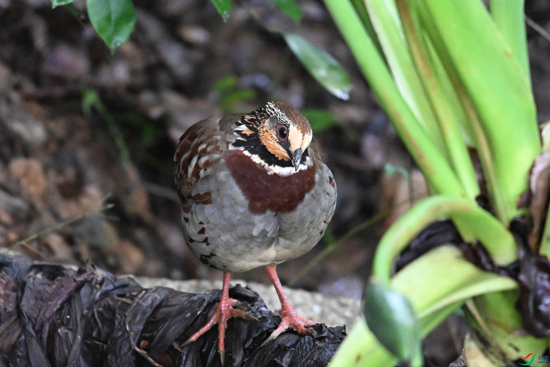 DSC_3738.JPG