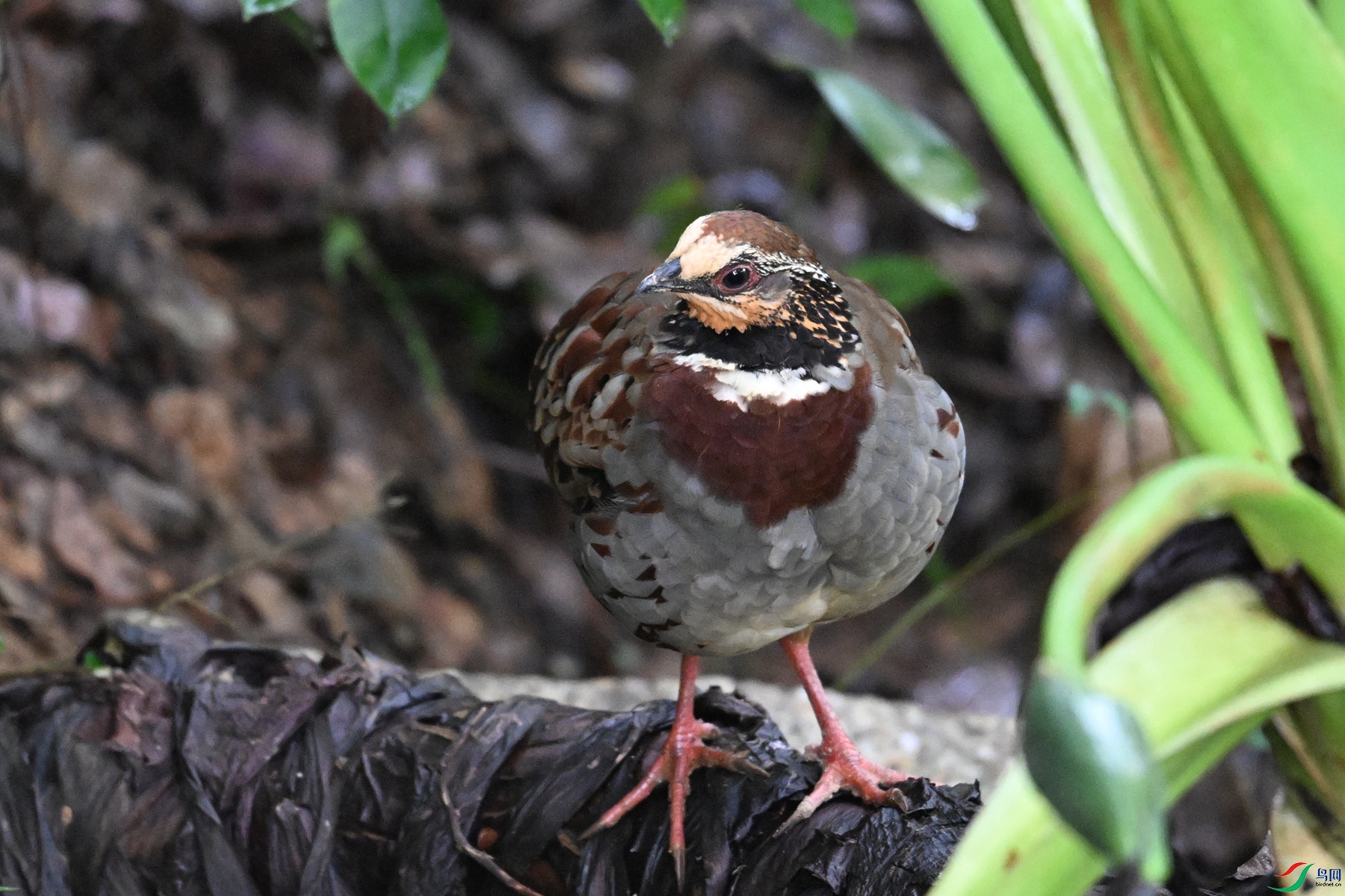 DSC_3710.JPG