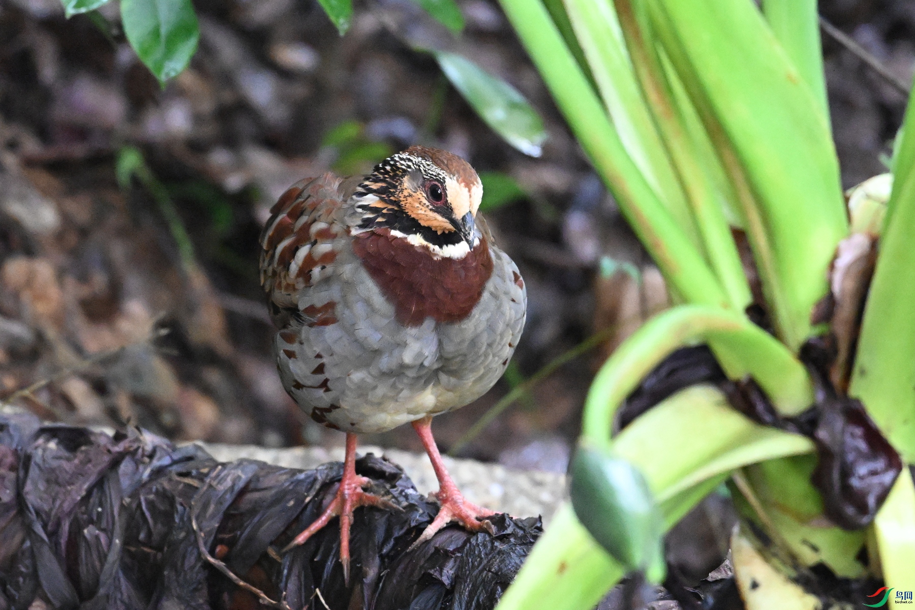 DSC_3712.JPG