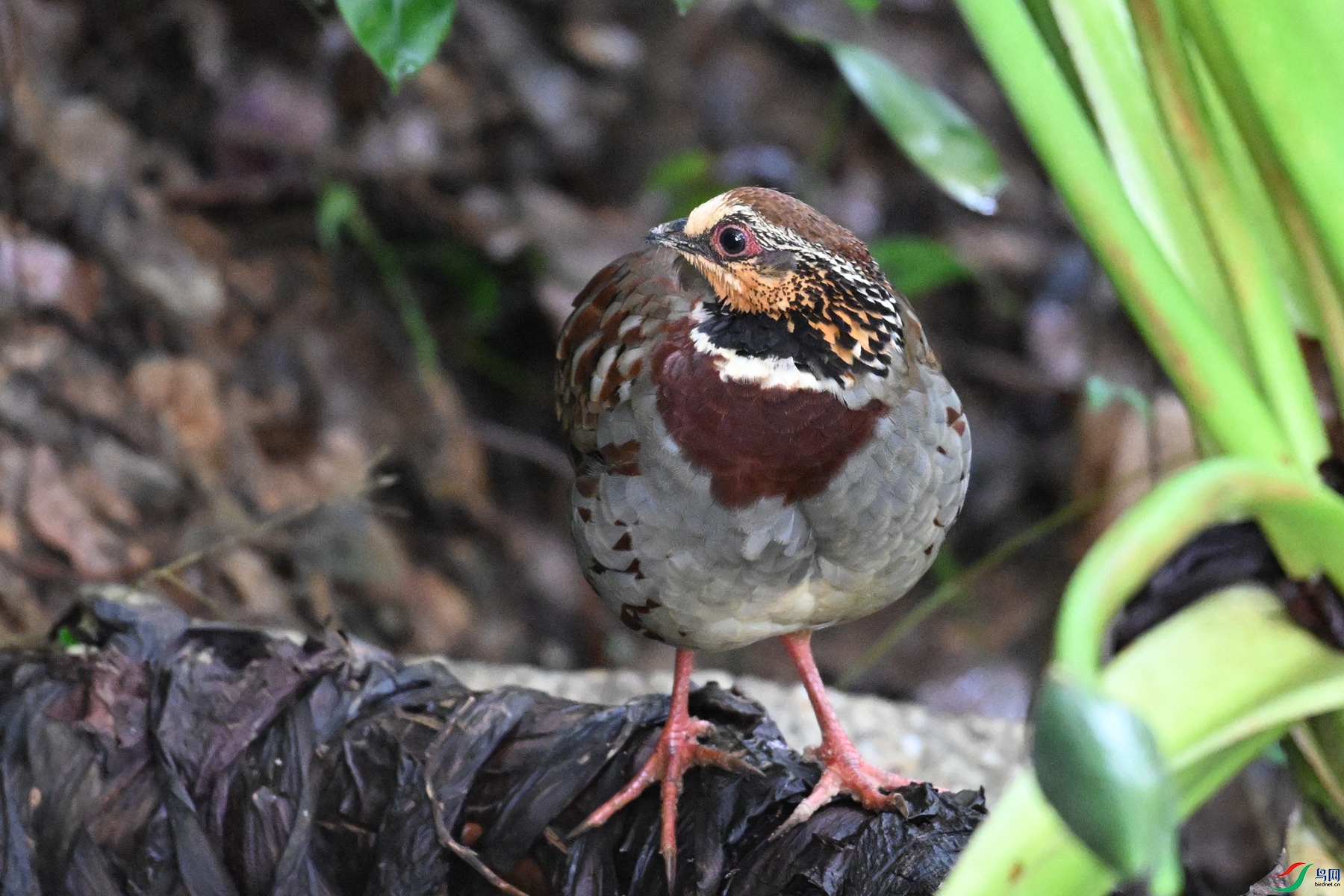 DSC_3727.JPG