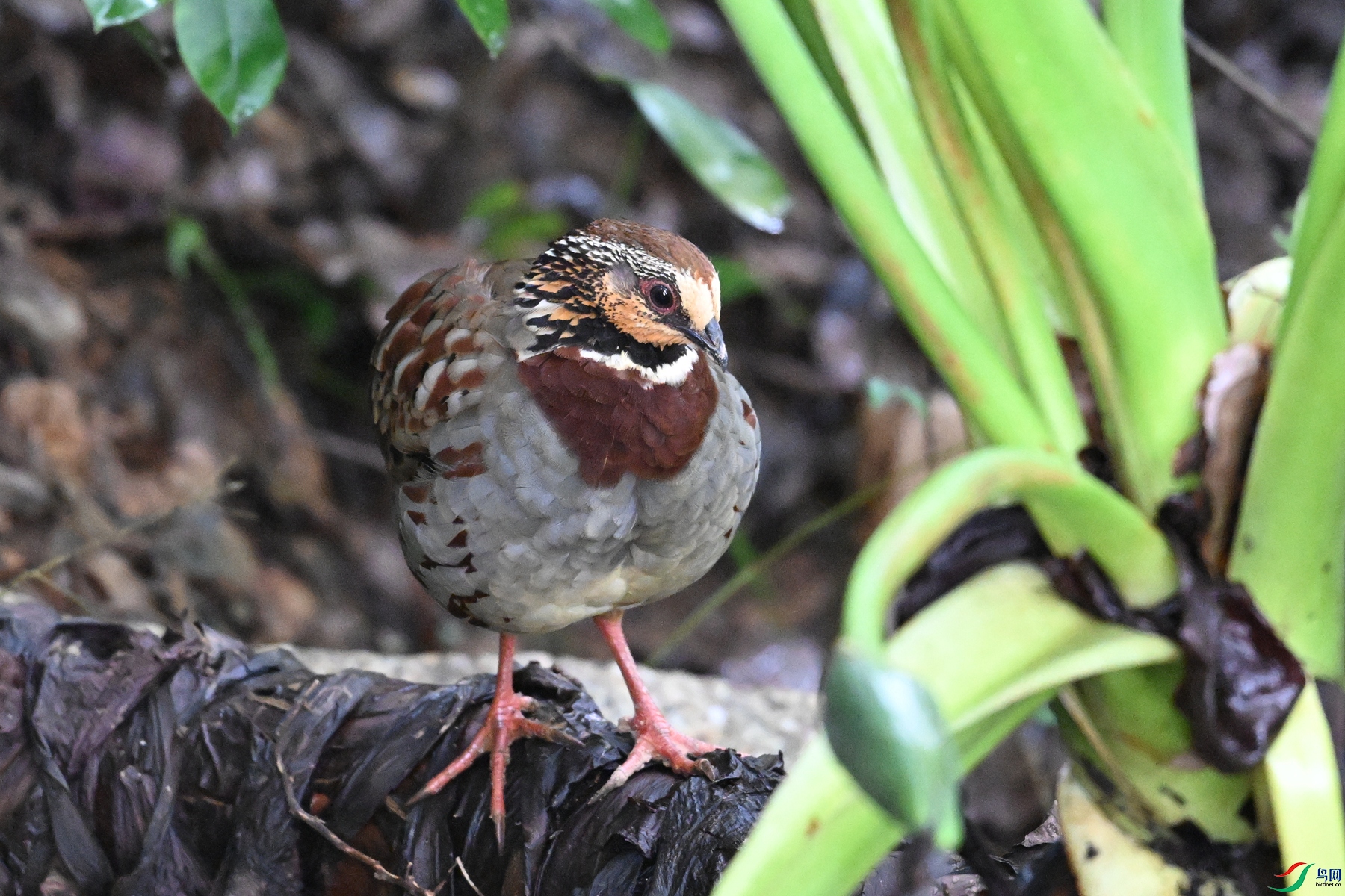 DSC_3715.JPG