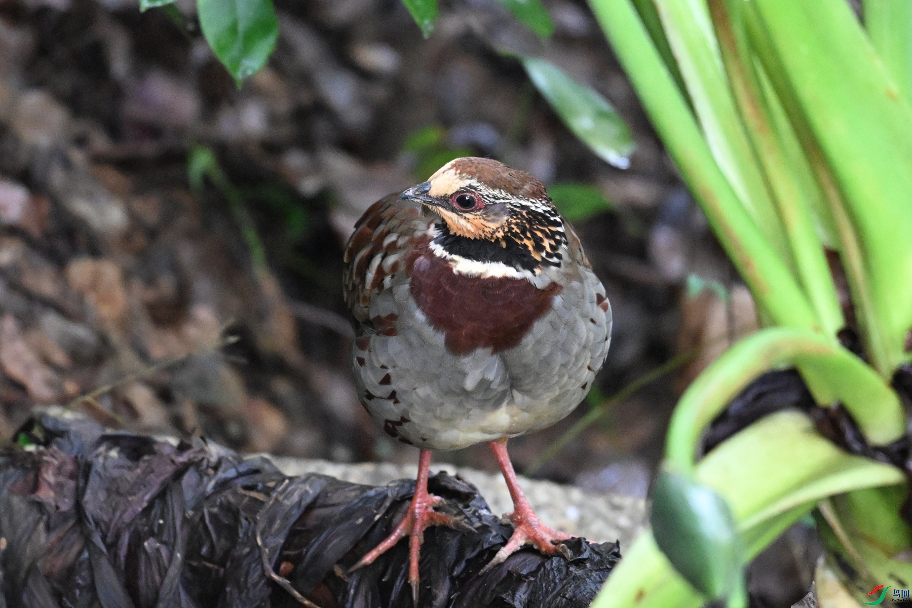 DSC_3734.JPG