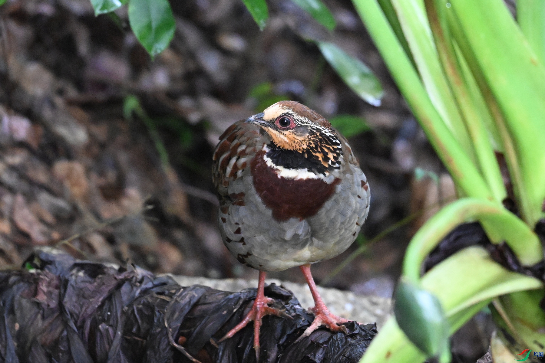 DSC_3722.JPG