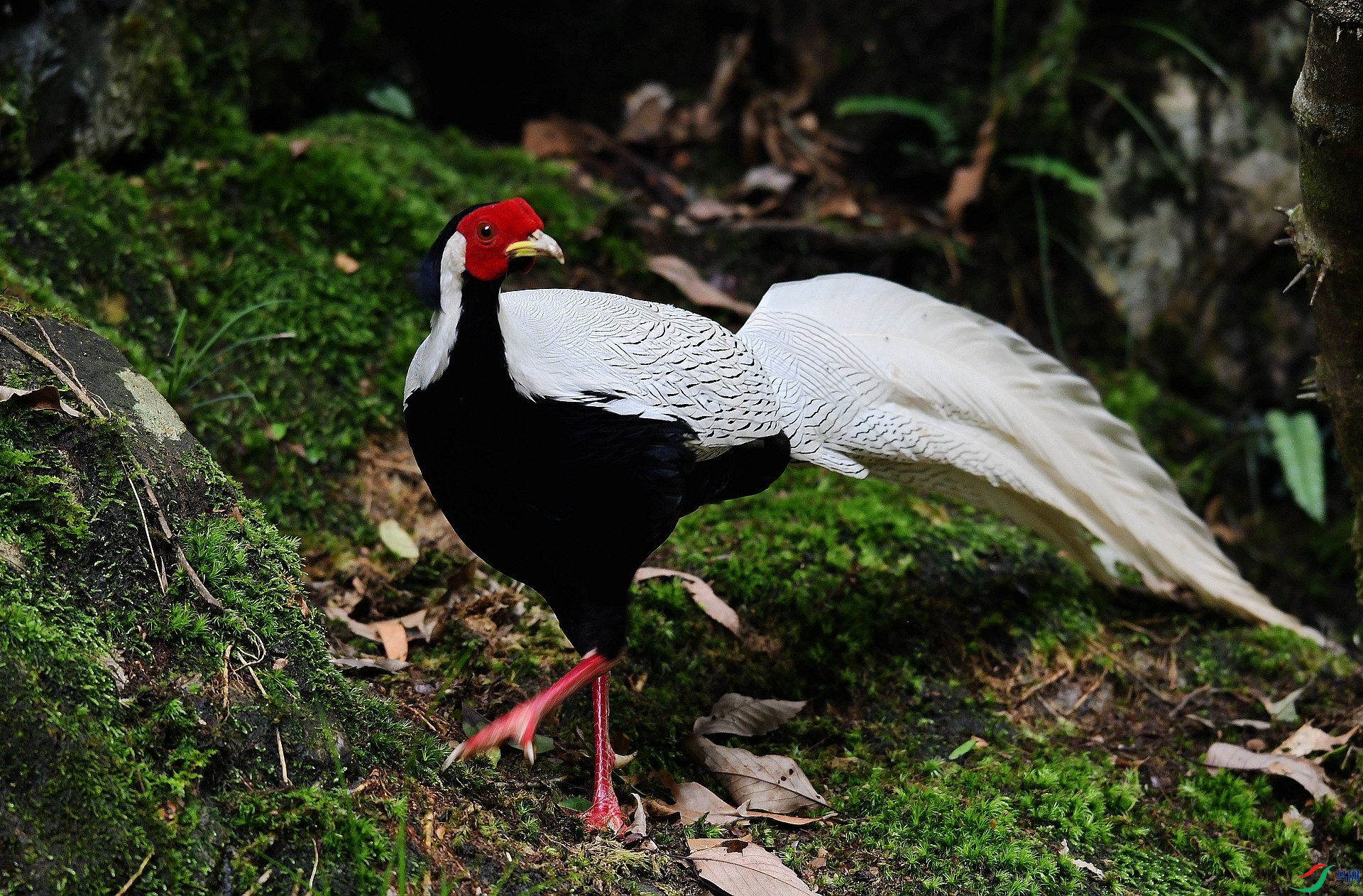 DSC_3528.jpg